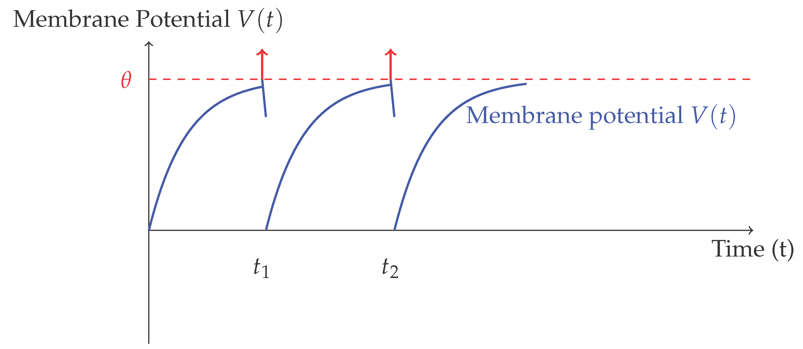 Preprints 166646 g001