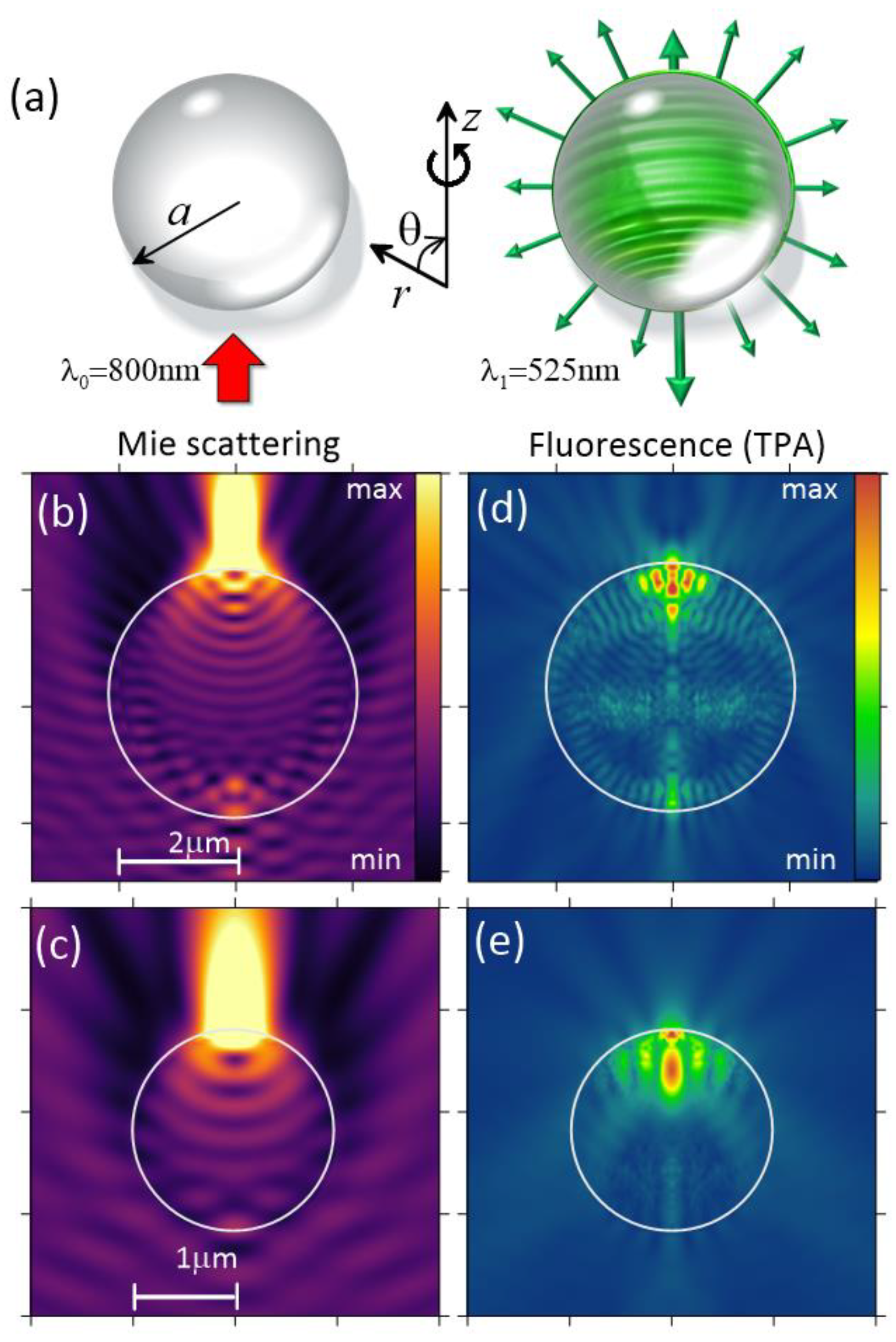 Preprints 76872 g001