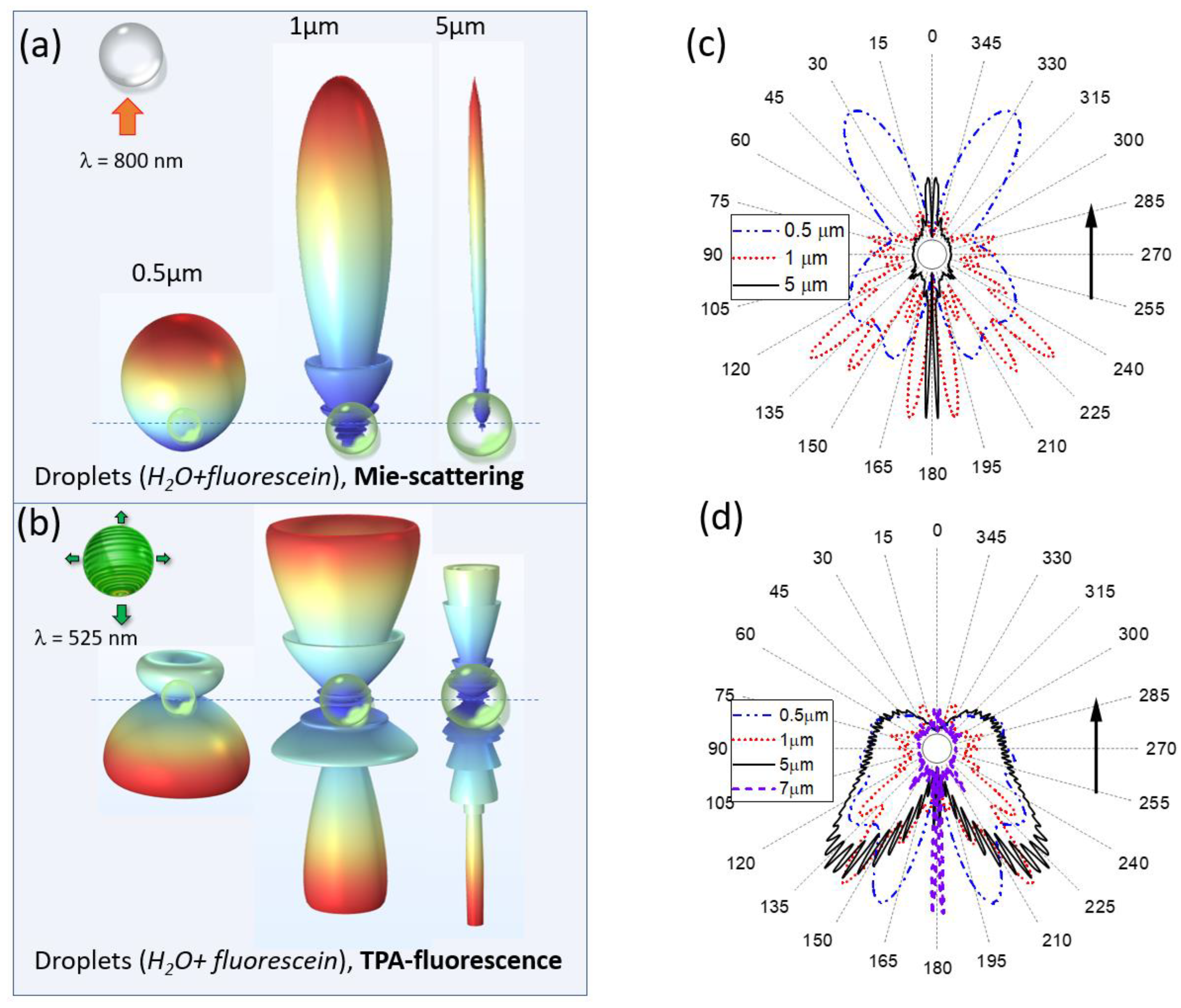 Preprints 76872 g004