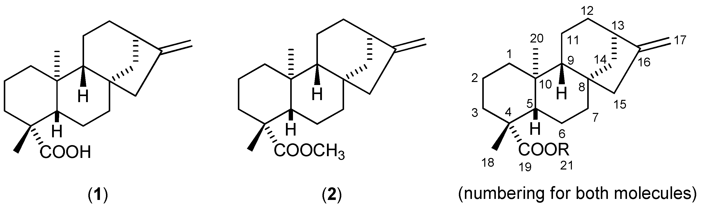 Preprints 147734 g001