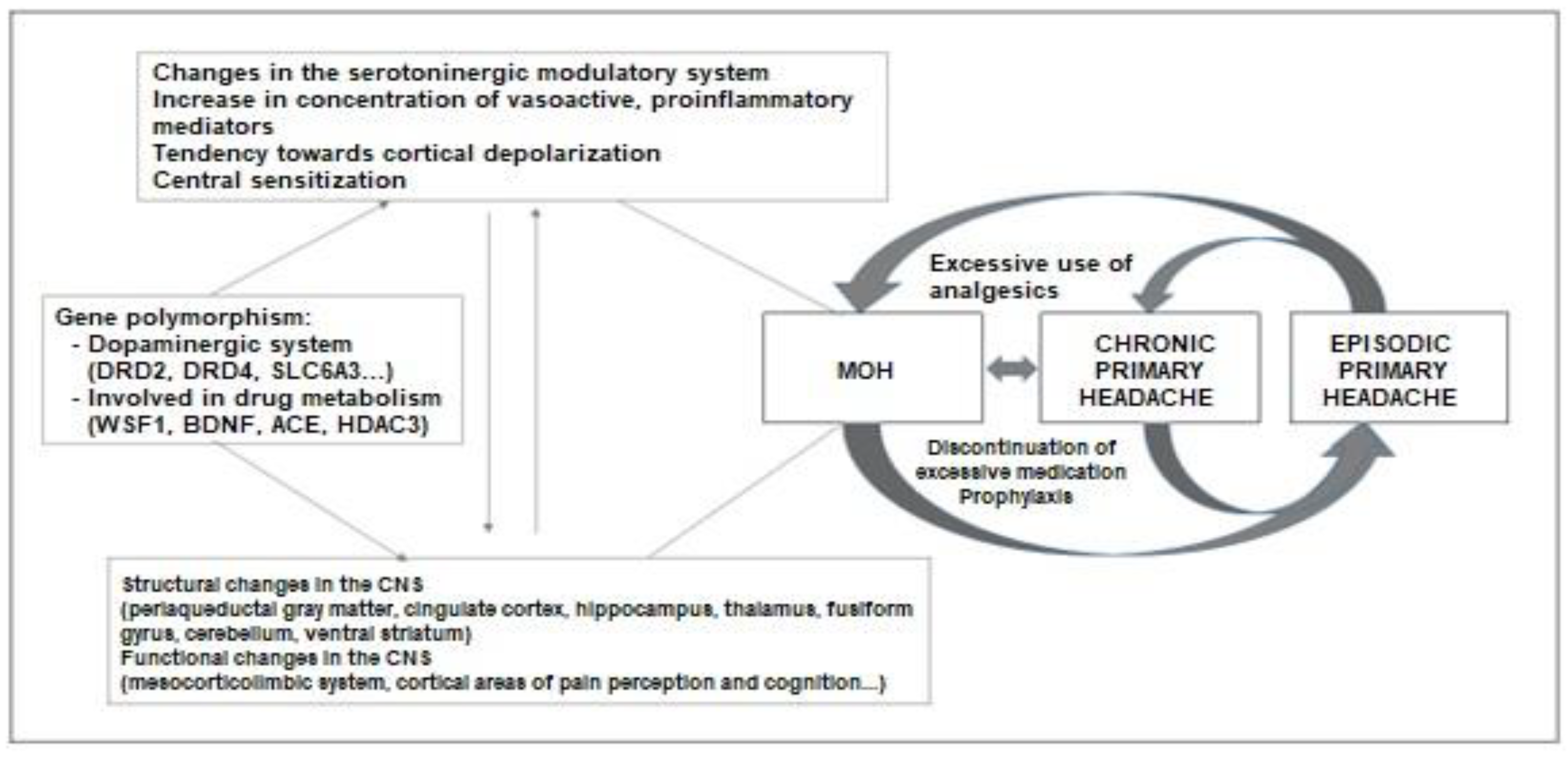 Preprints 84468 g001