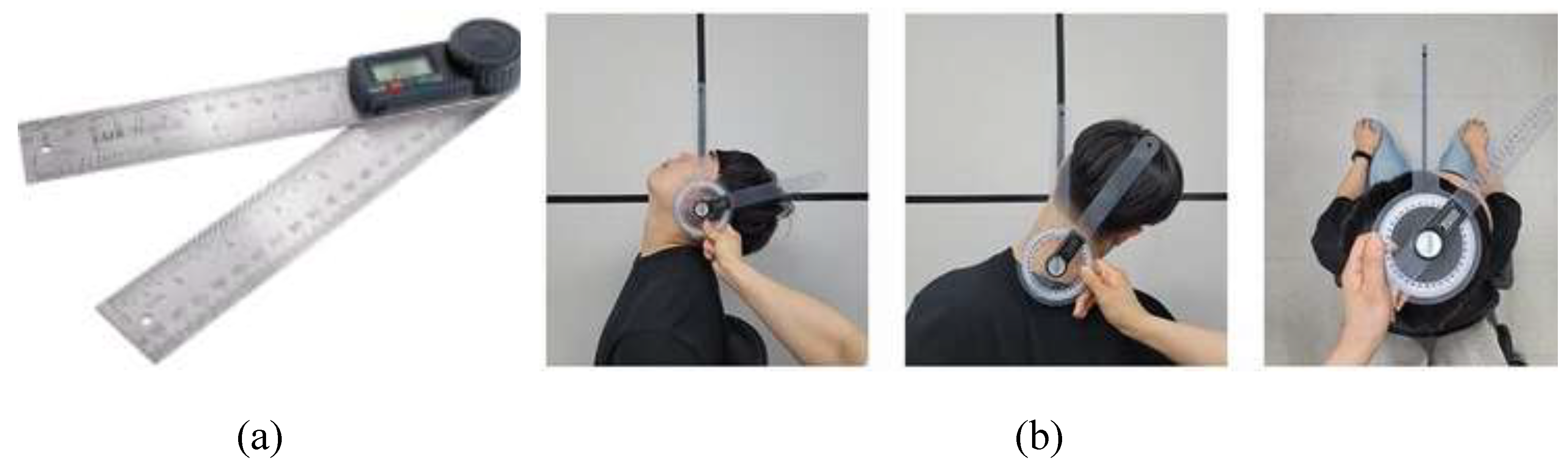 Preprints 151499 g001