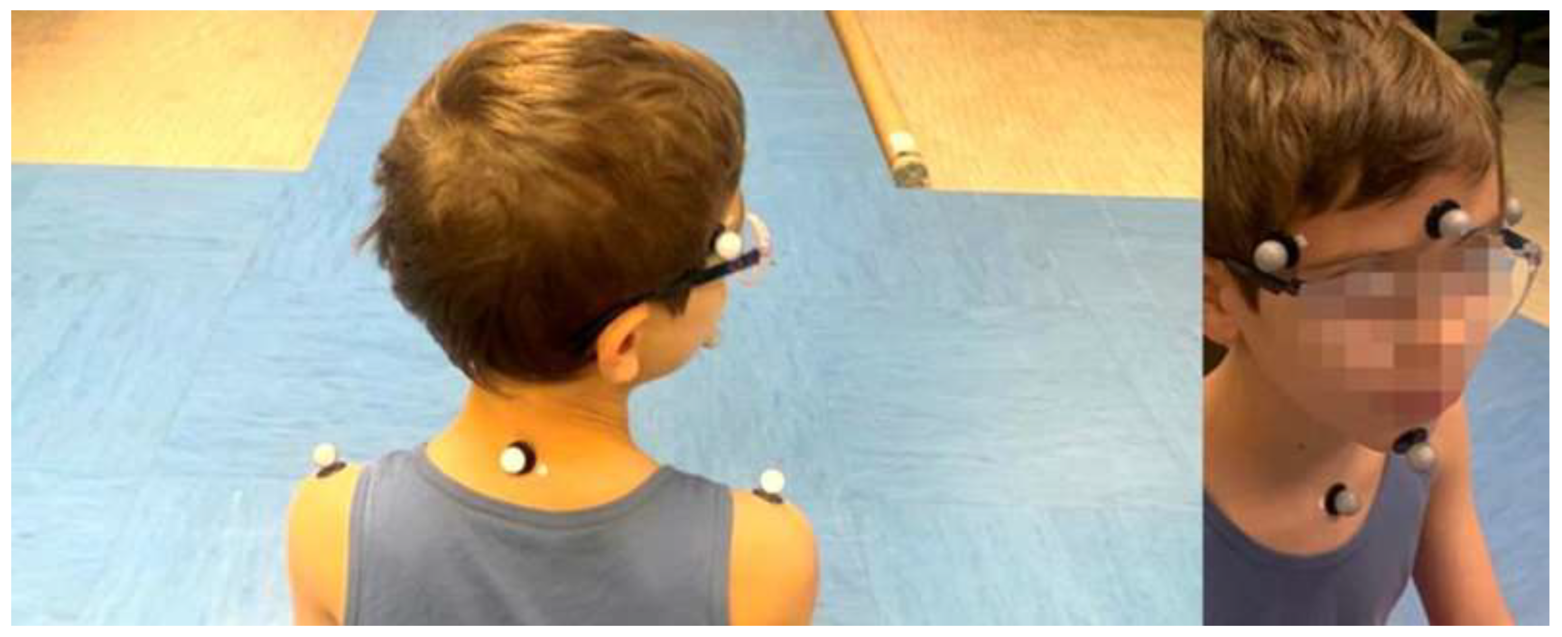 Preprints 151499 g003