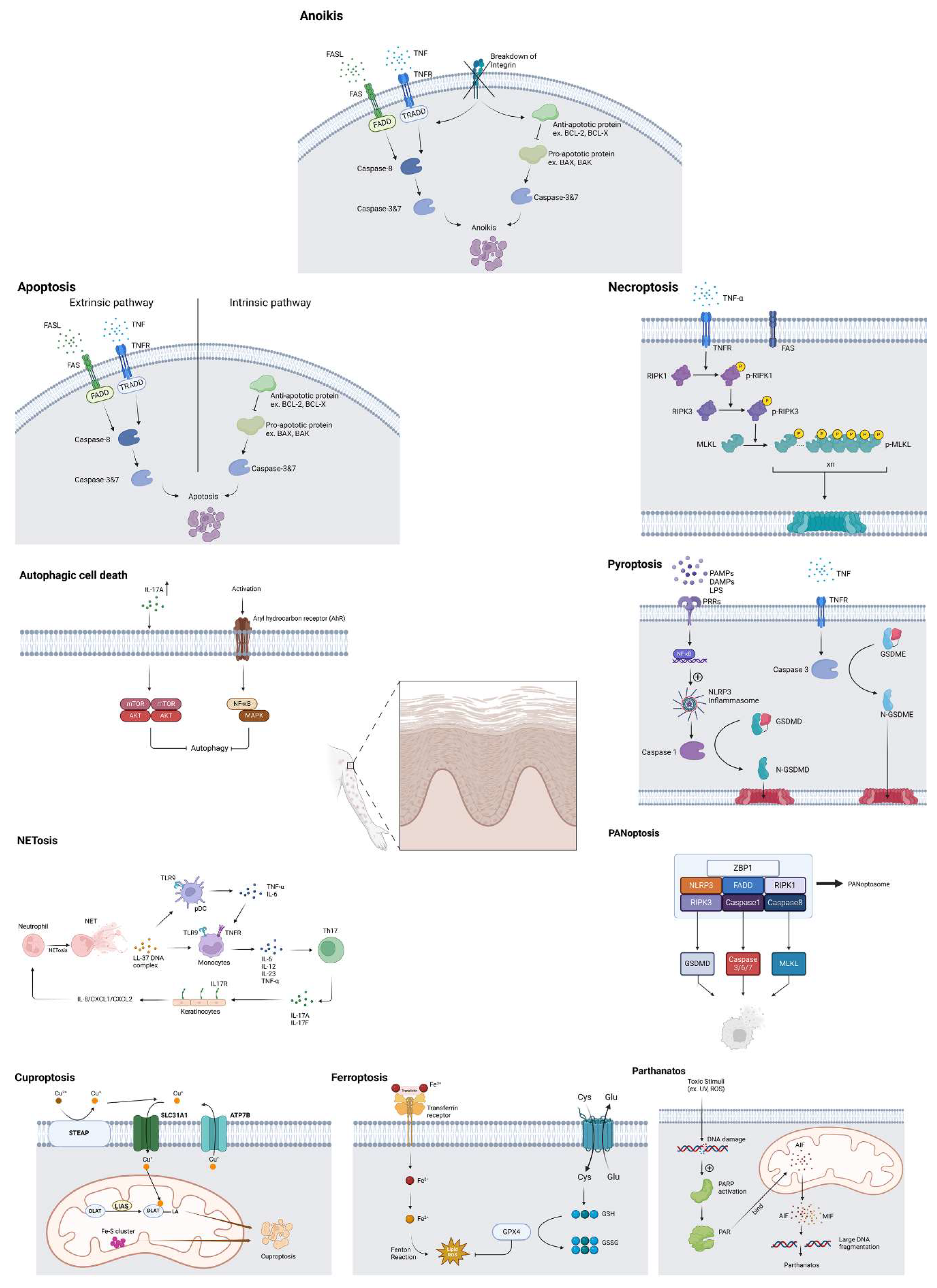 Preprints 154571 g001