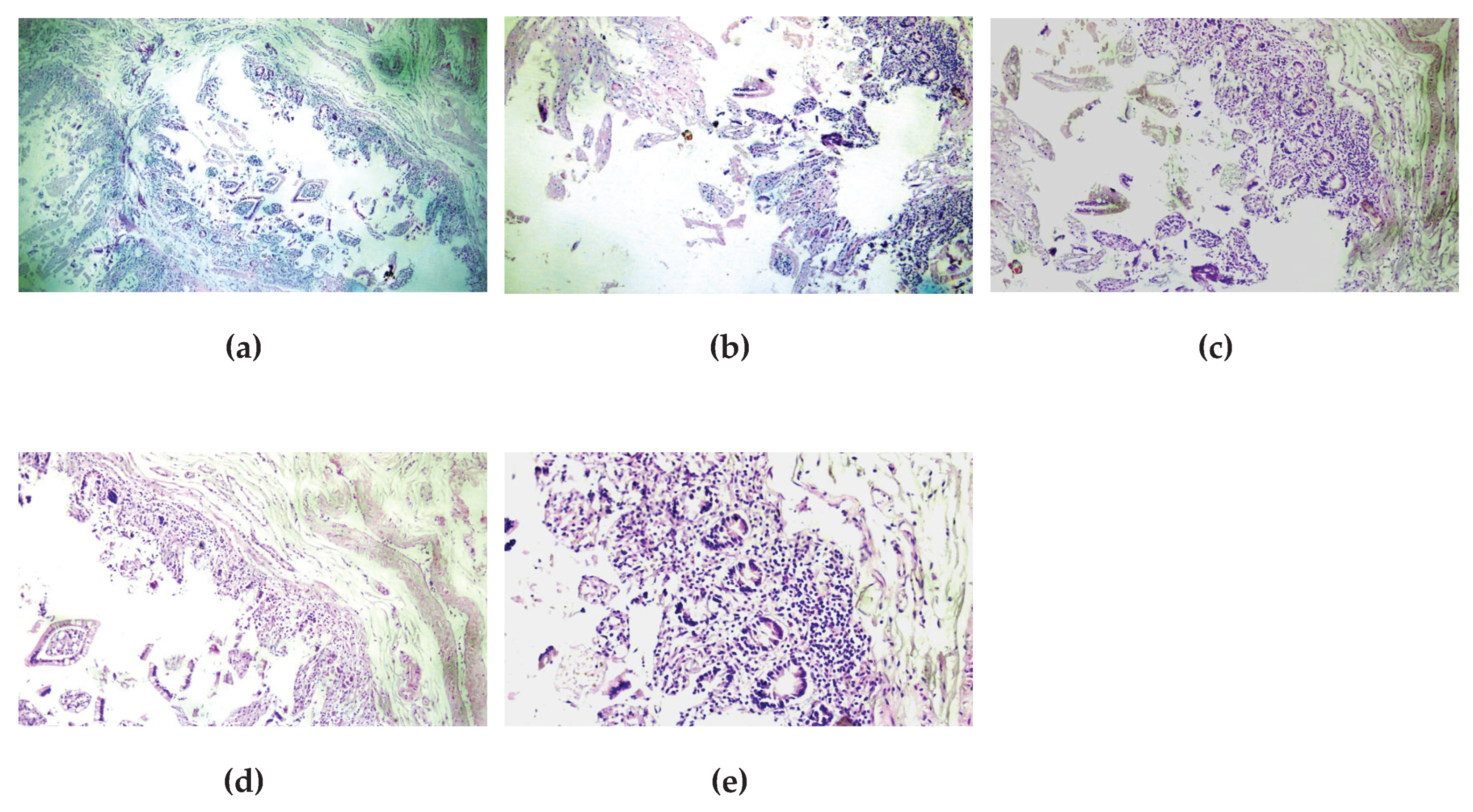 Preprints 181342 g002