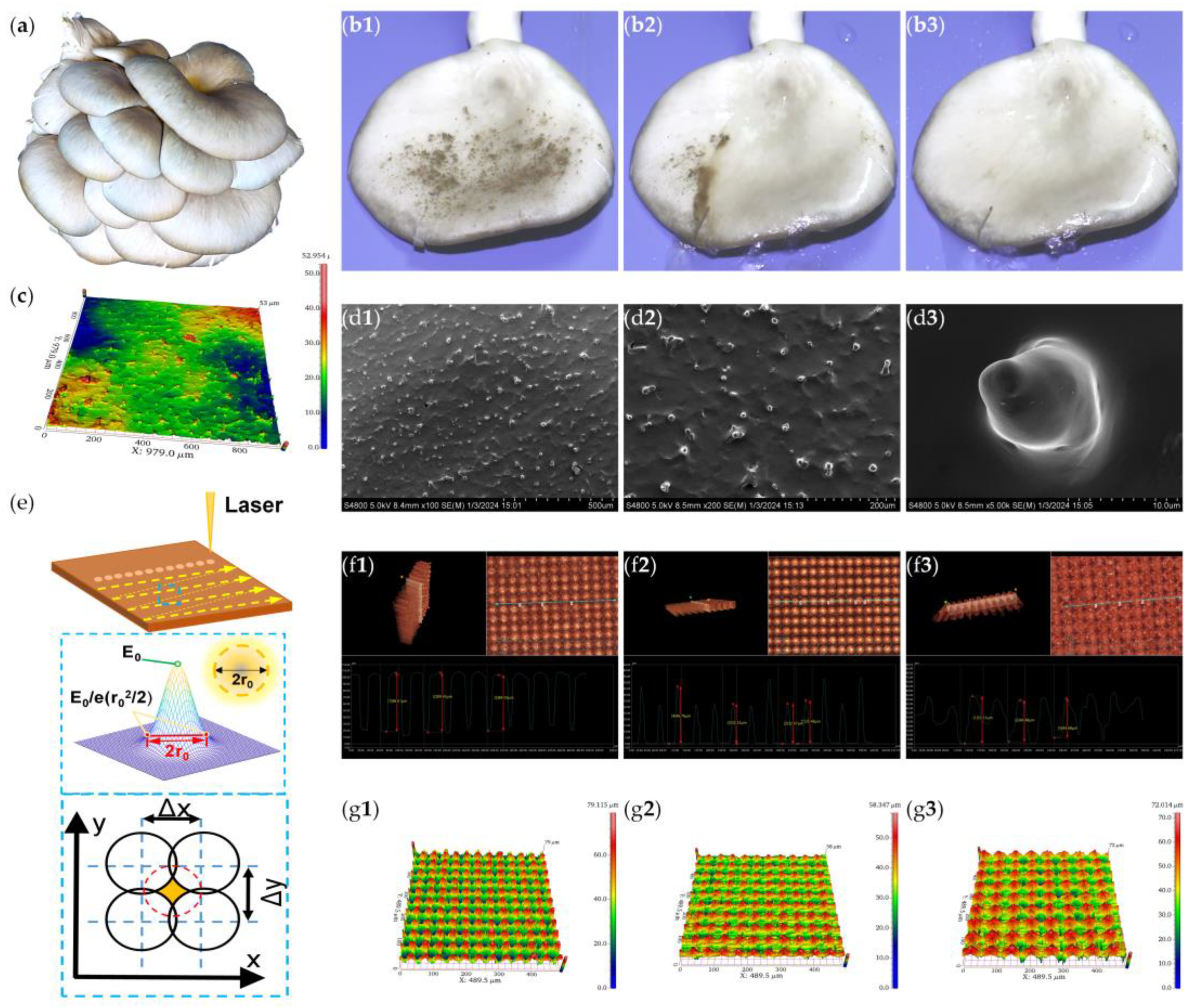 Preprints 141495 g001