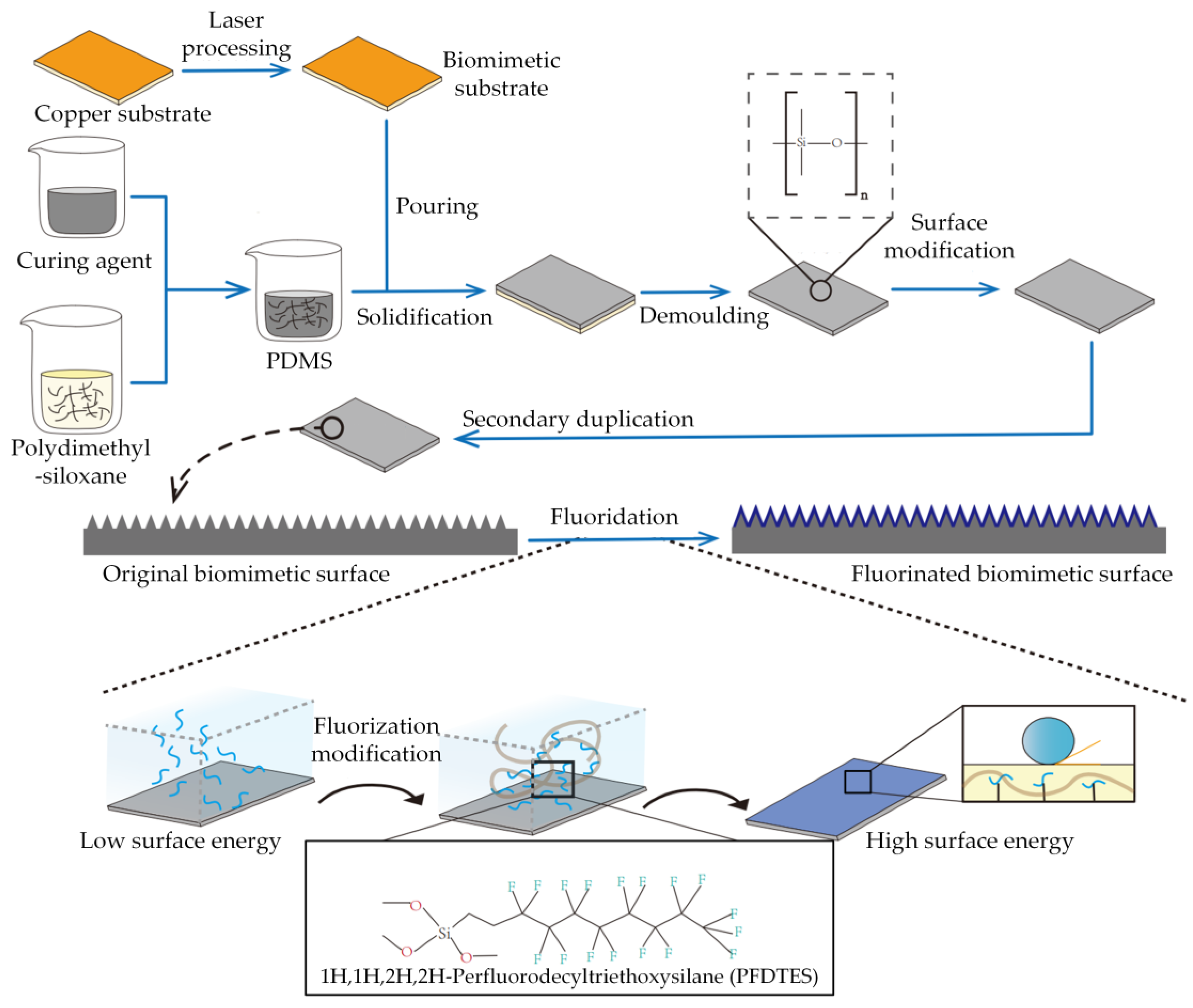 Preprints 141495 g002