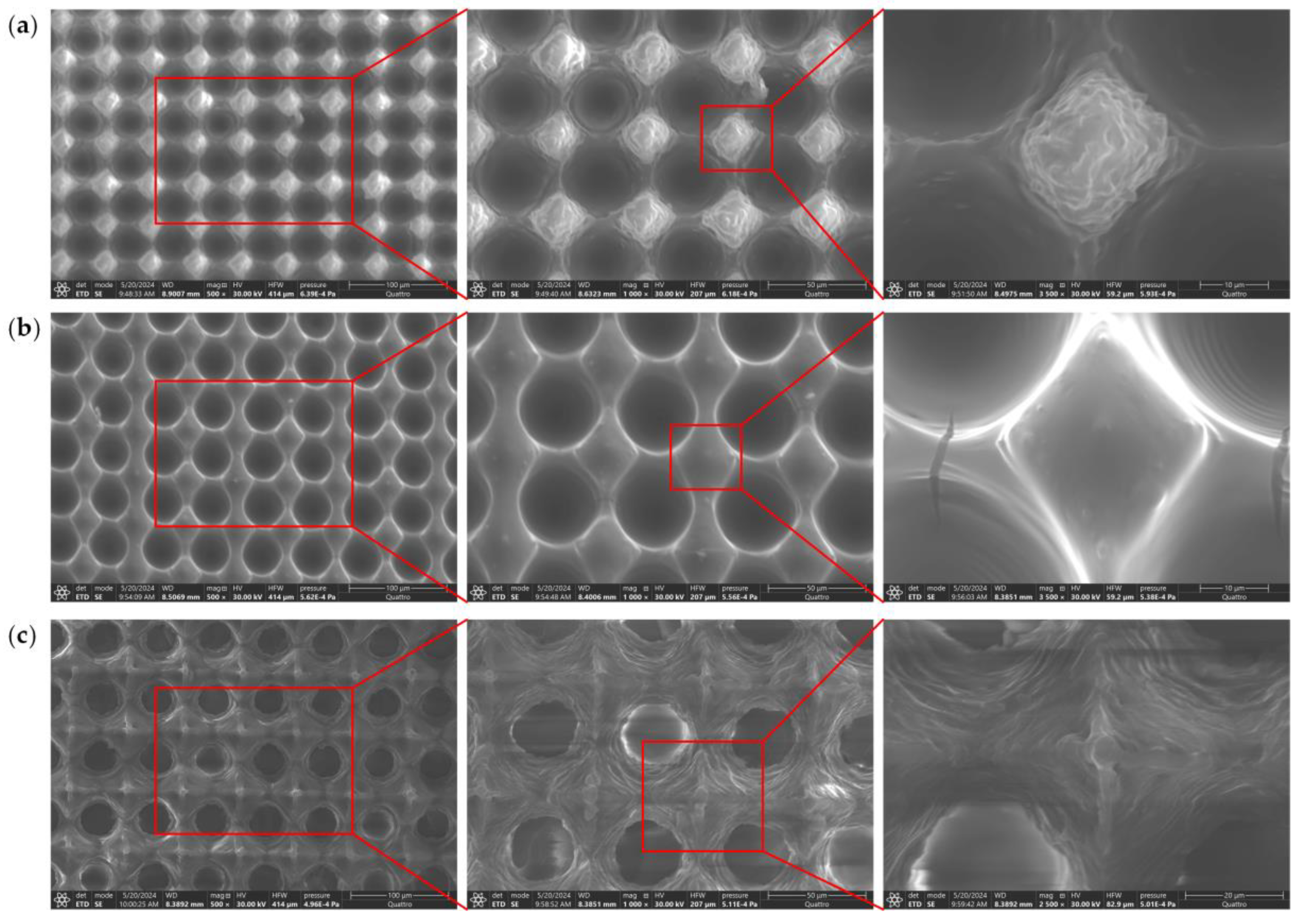 Preprints 141495 g003