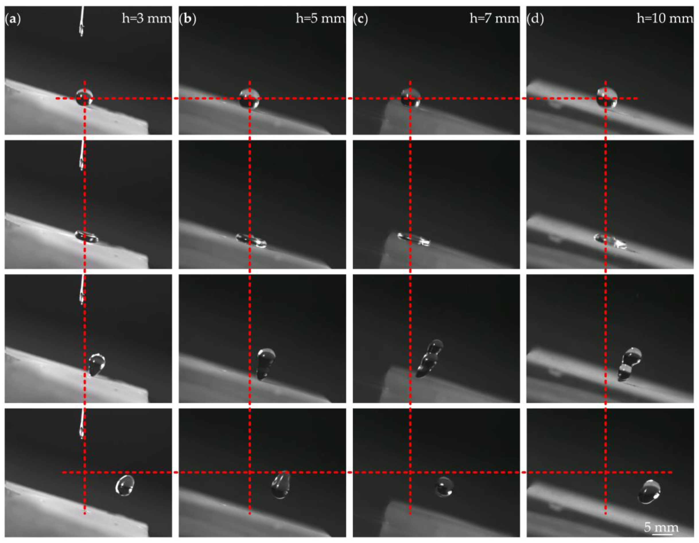 Preprints 141495 g006