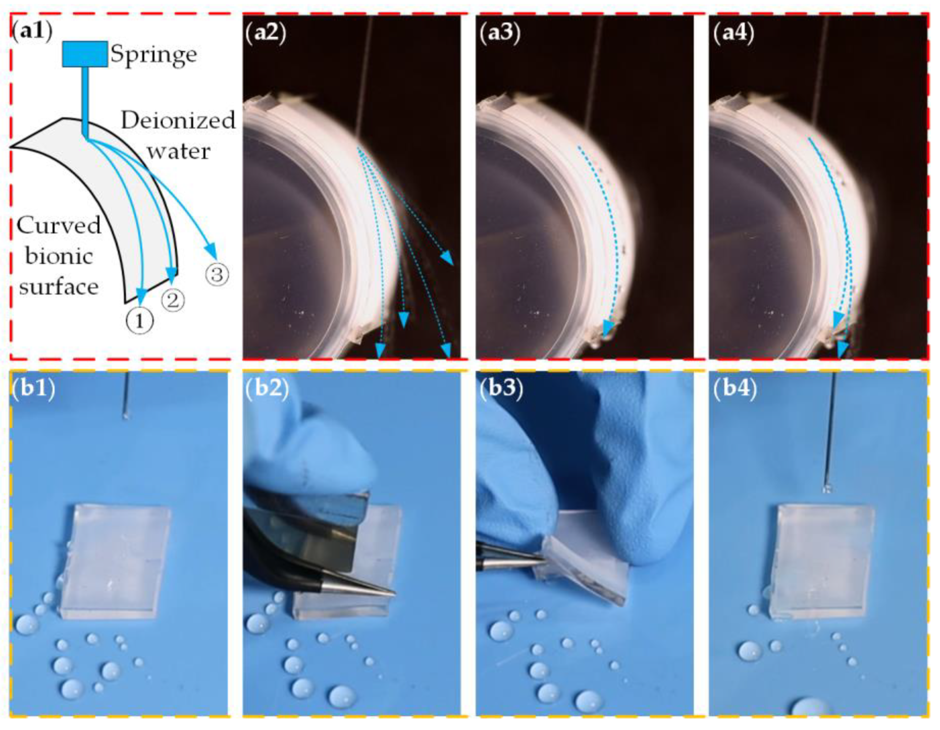 Preprints 141495 g008