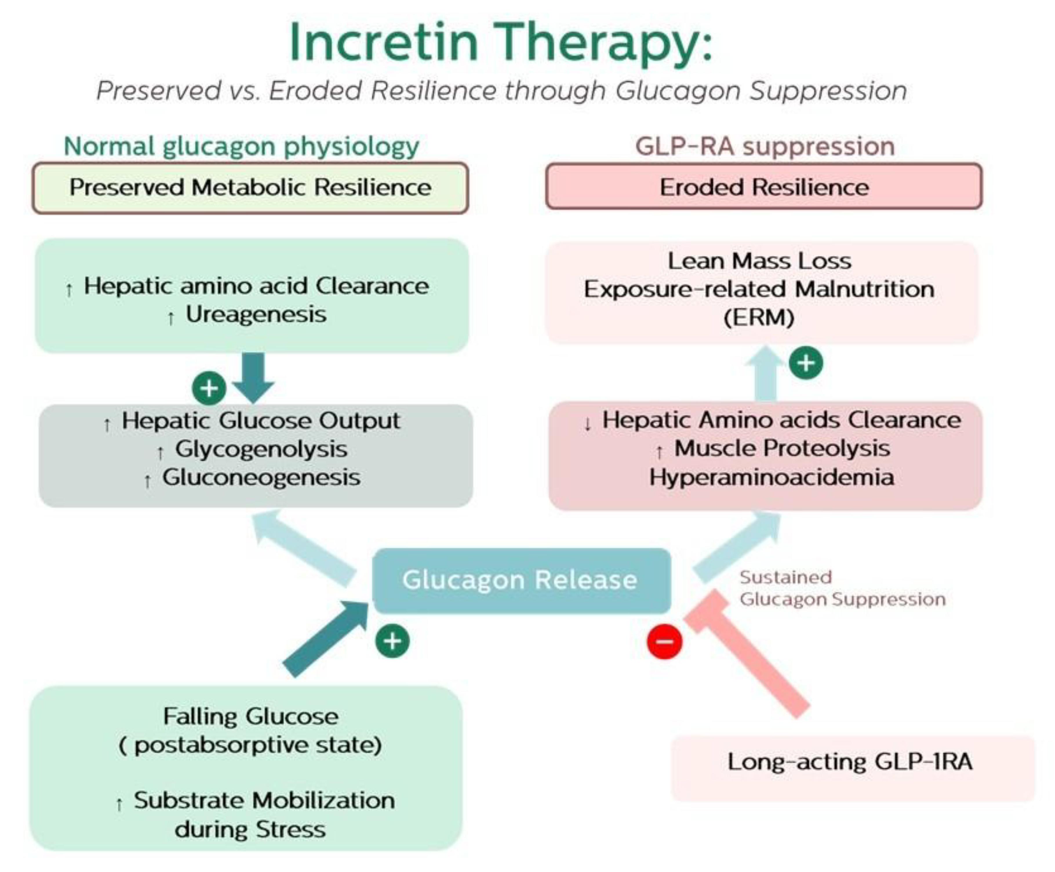 Preprints 180061 g001