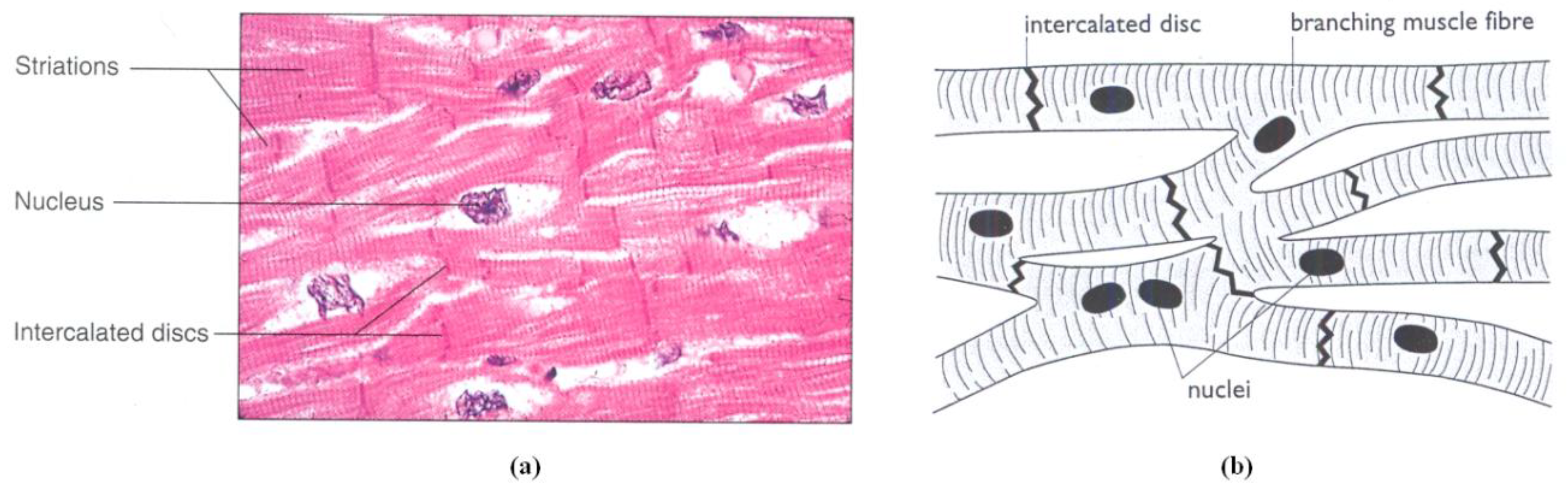 Preprints 171017 g001