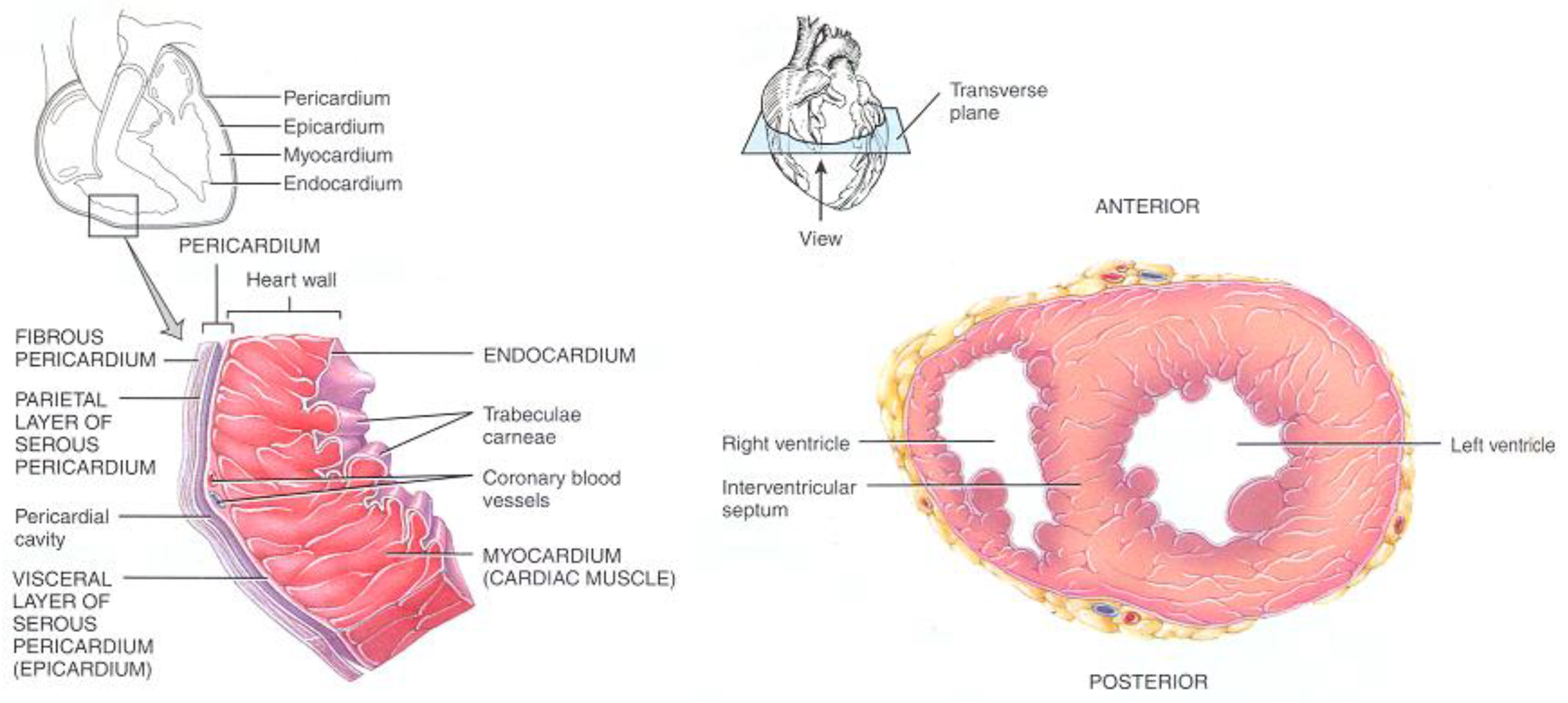 Preprints 171017 g002