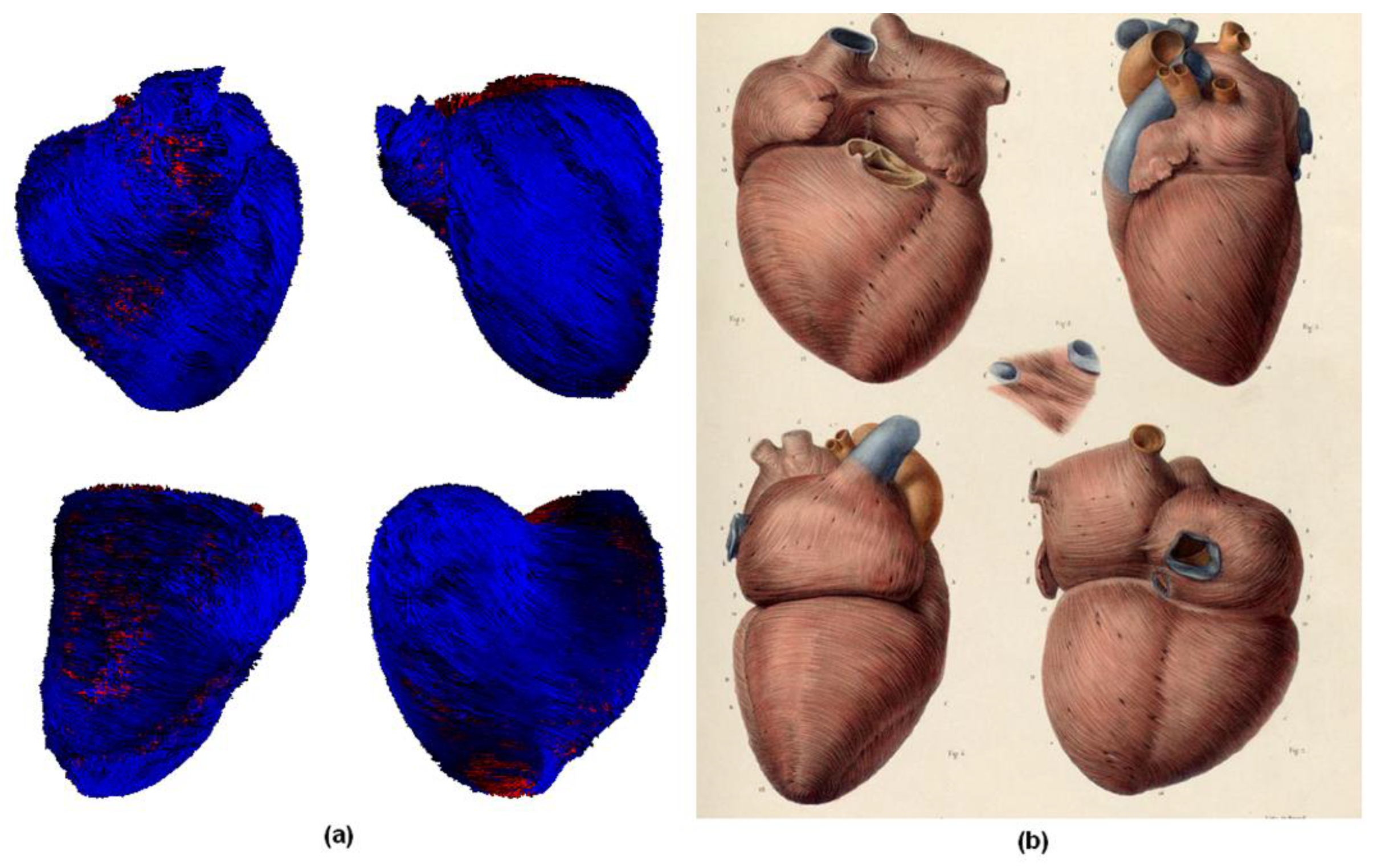 Preprints 171017 g007