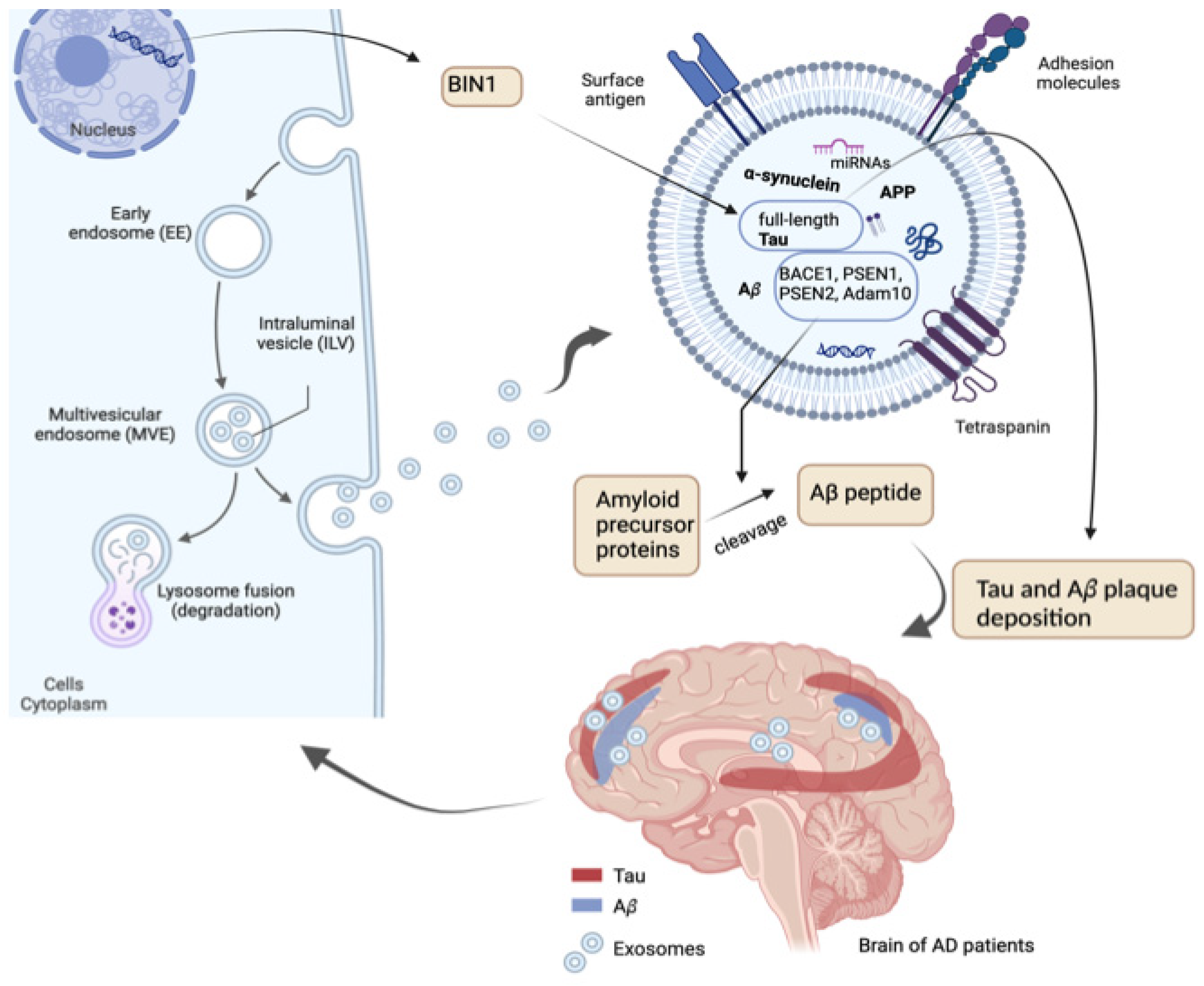 Preprints 155899 g002