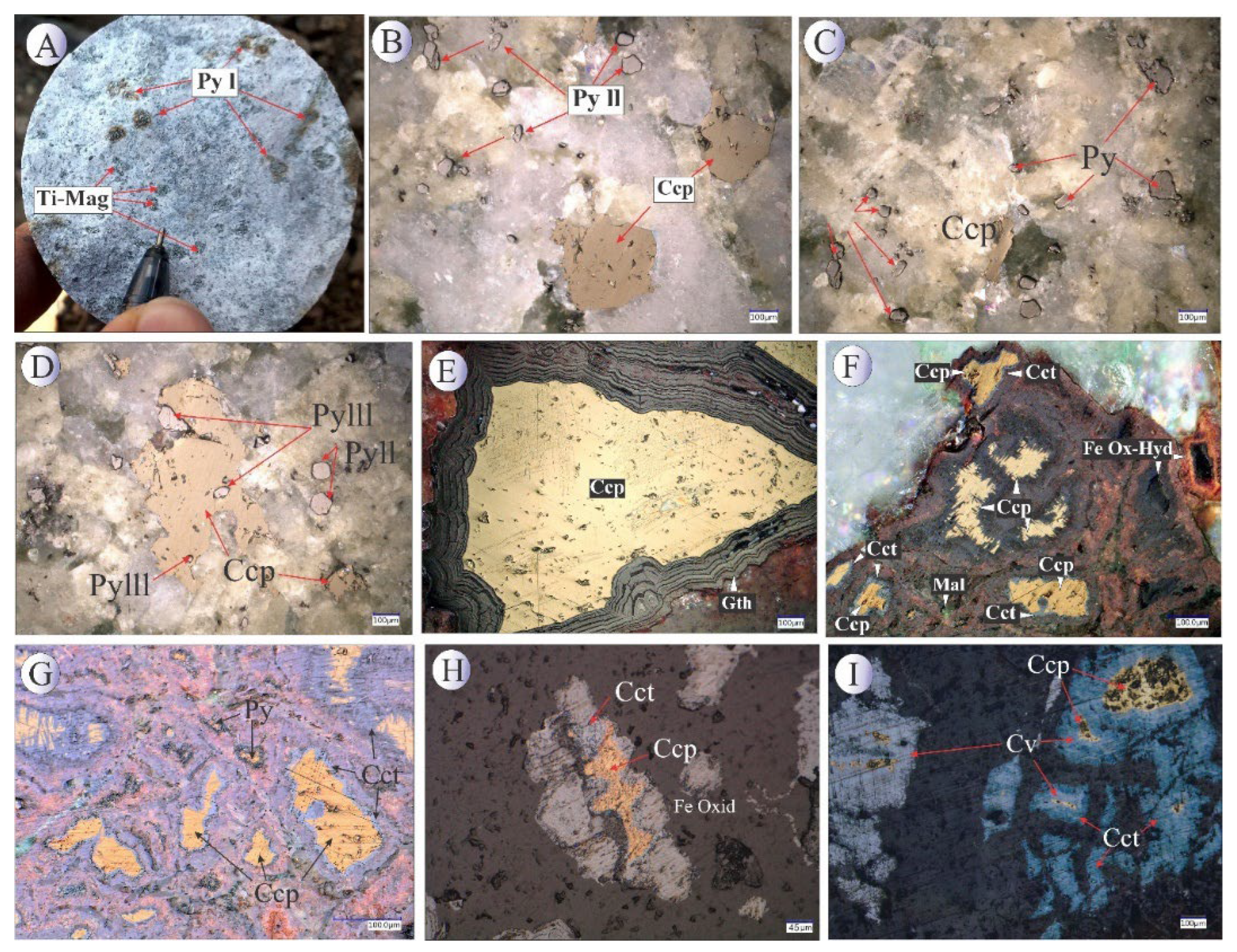Preprints 185283 g003