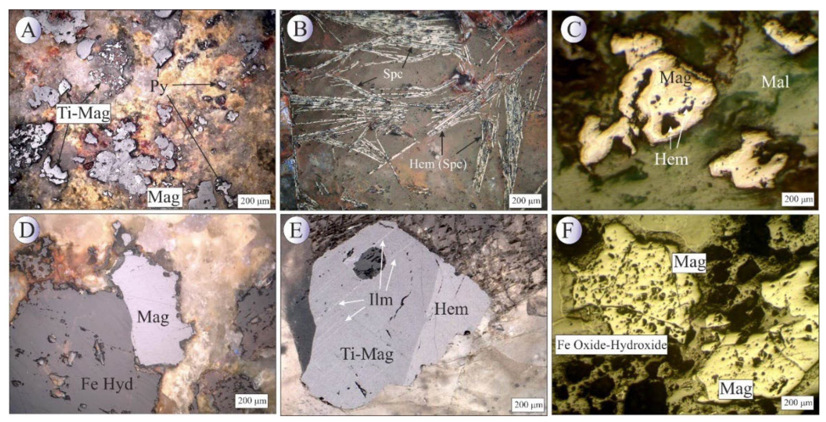 Preprints 185283 g004