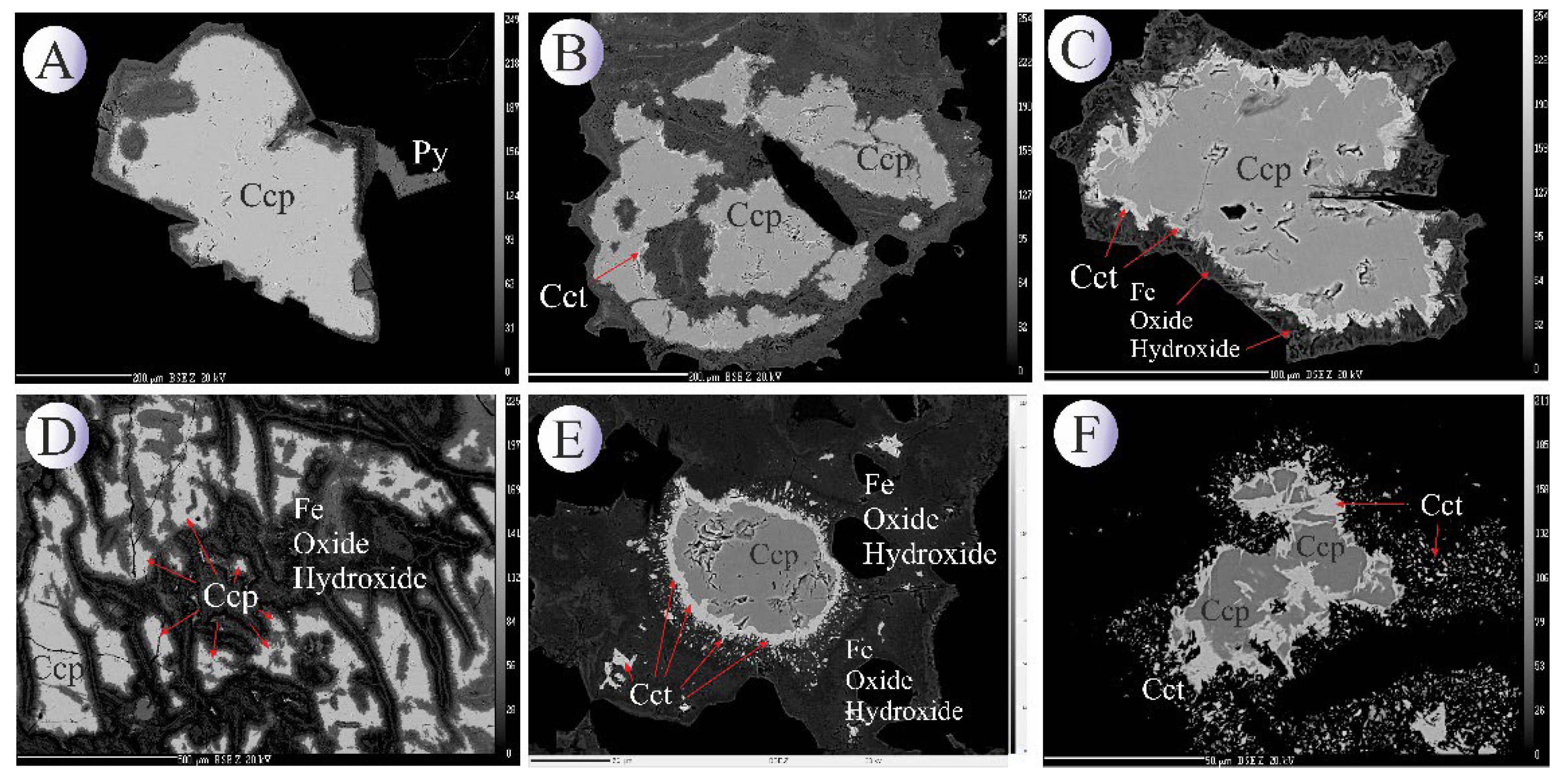 Preprints 185283 g008