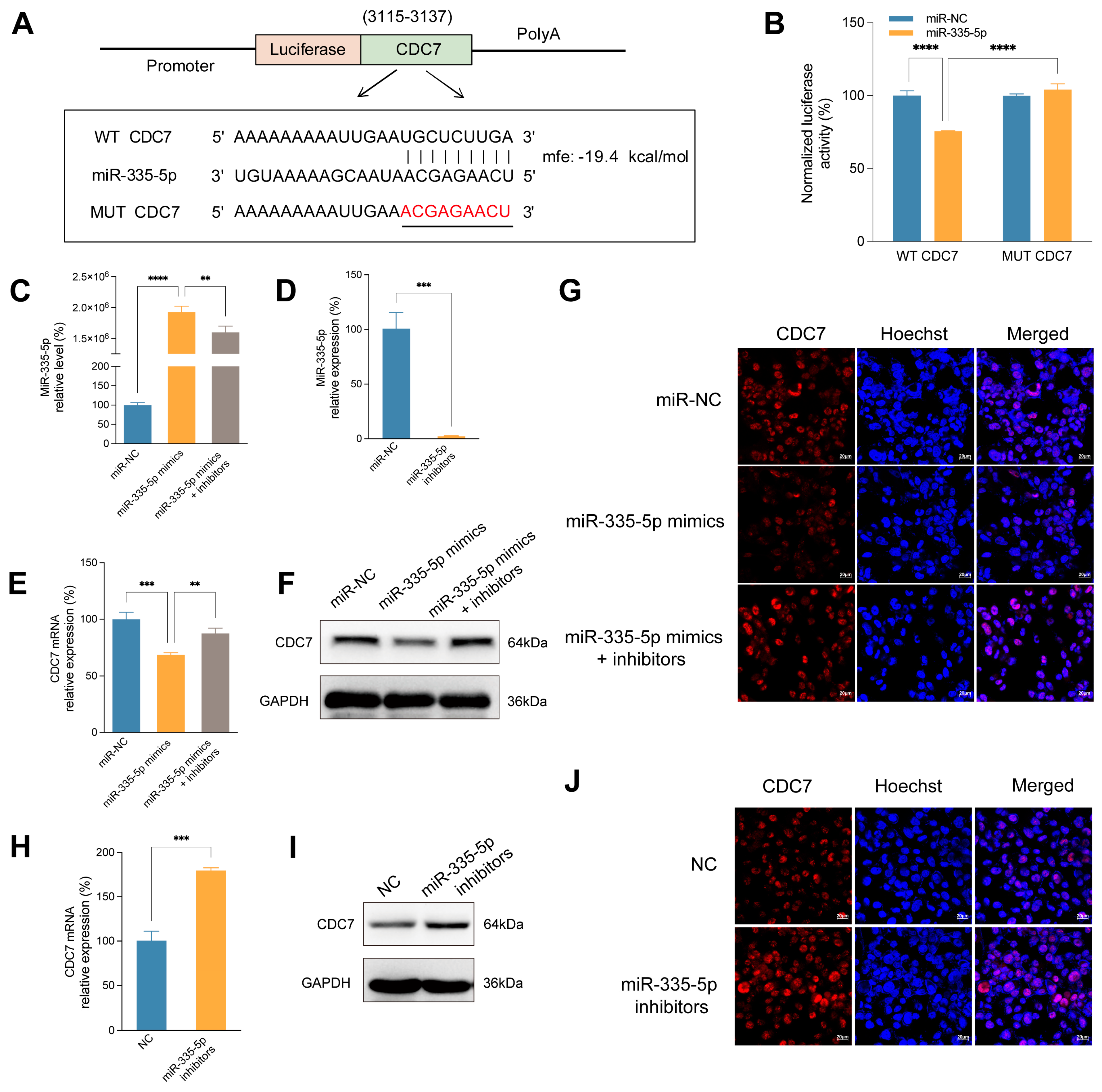 Preprints 141500 g005