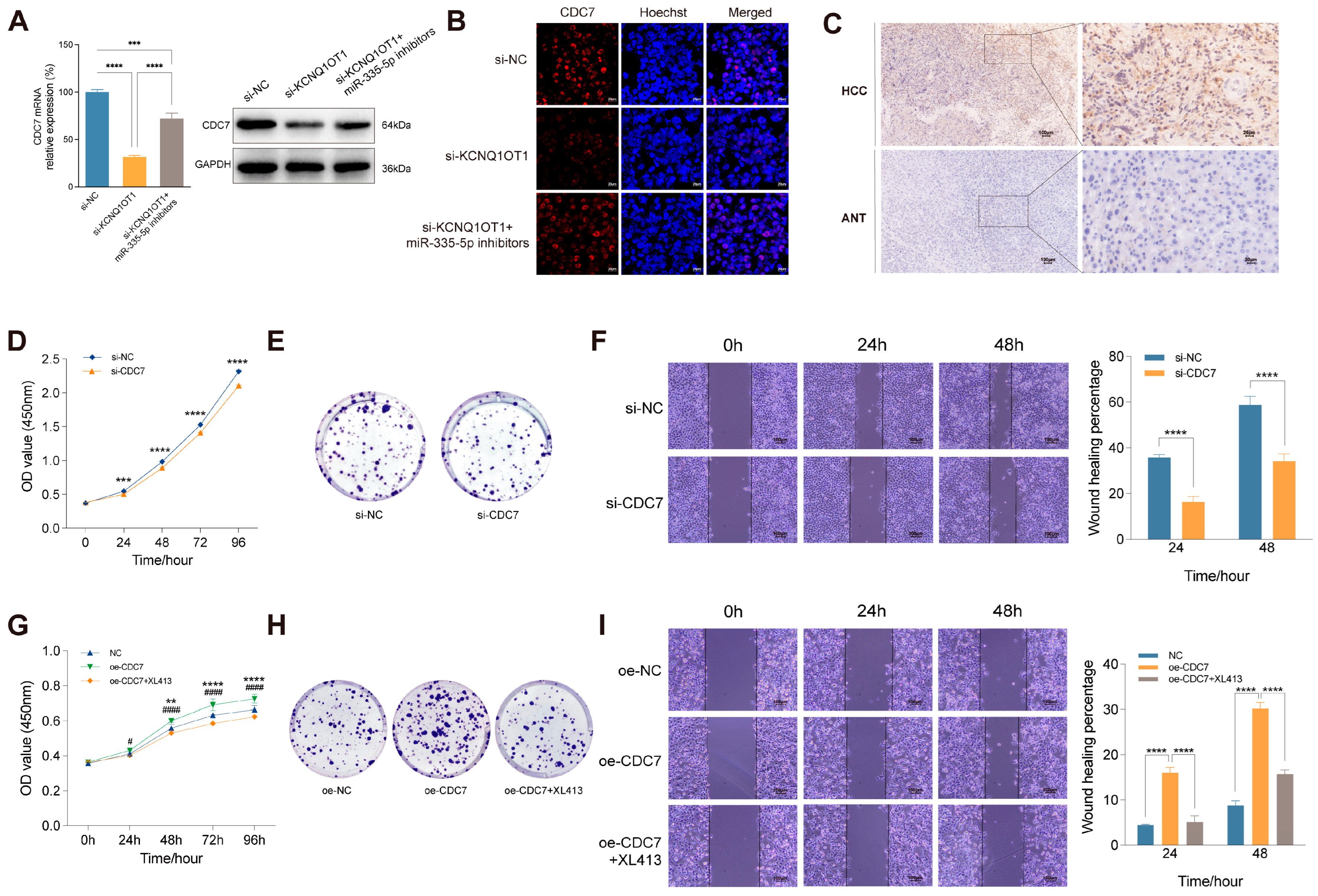 Preprints 141500 g006