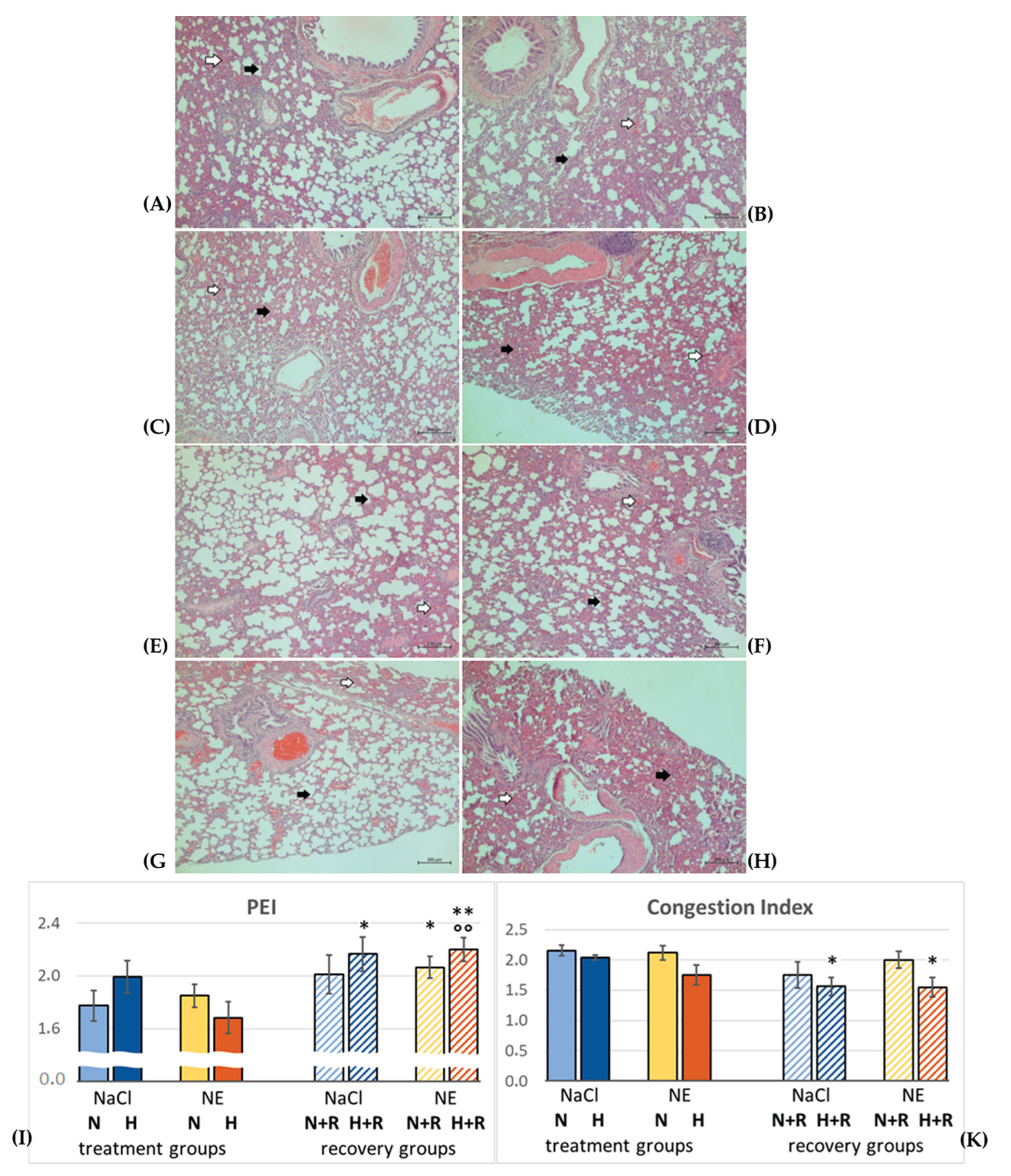 Preprints 179115 g001