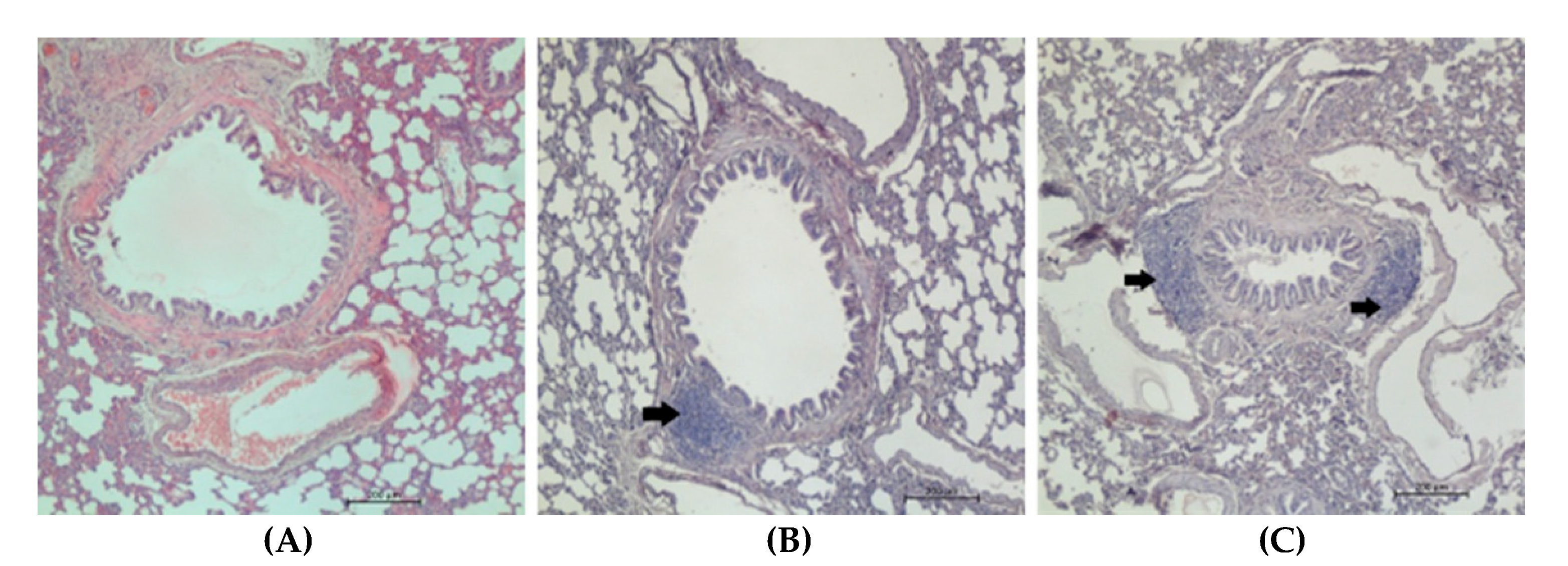 Preprints 179115 g002