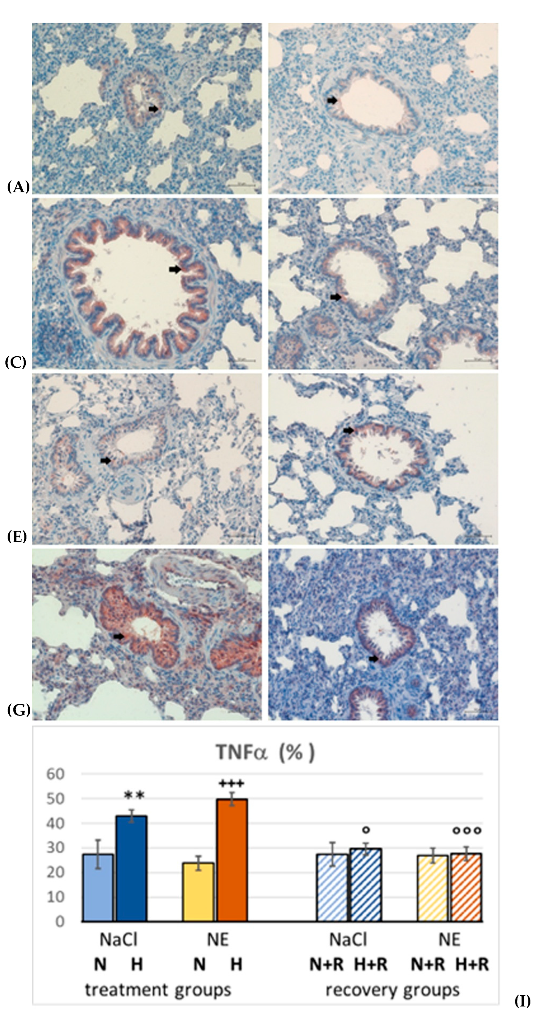 Preprints 179115 g003