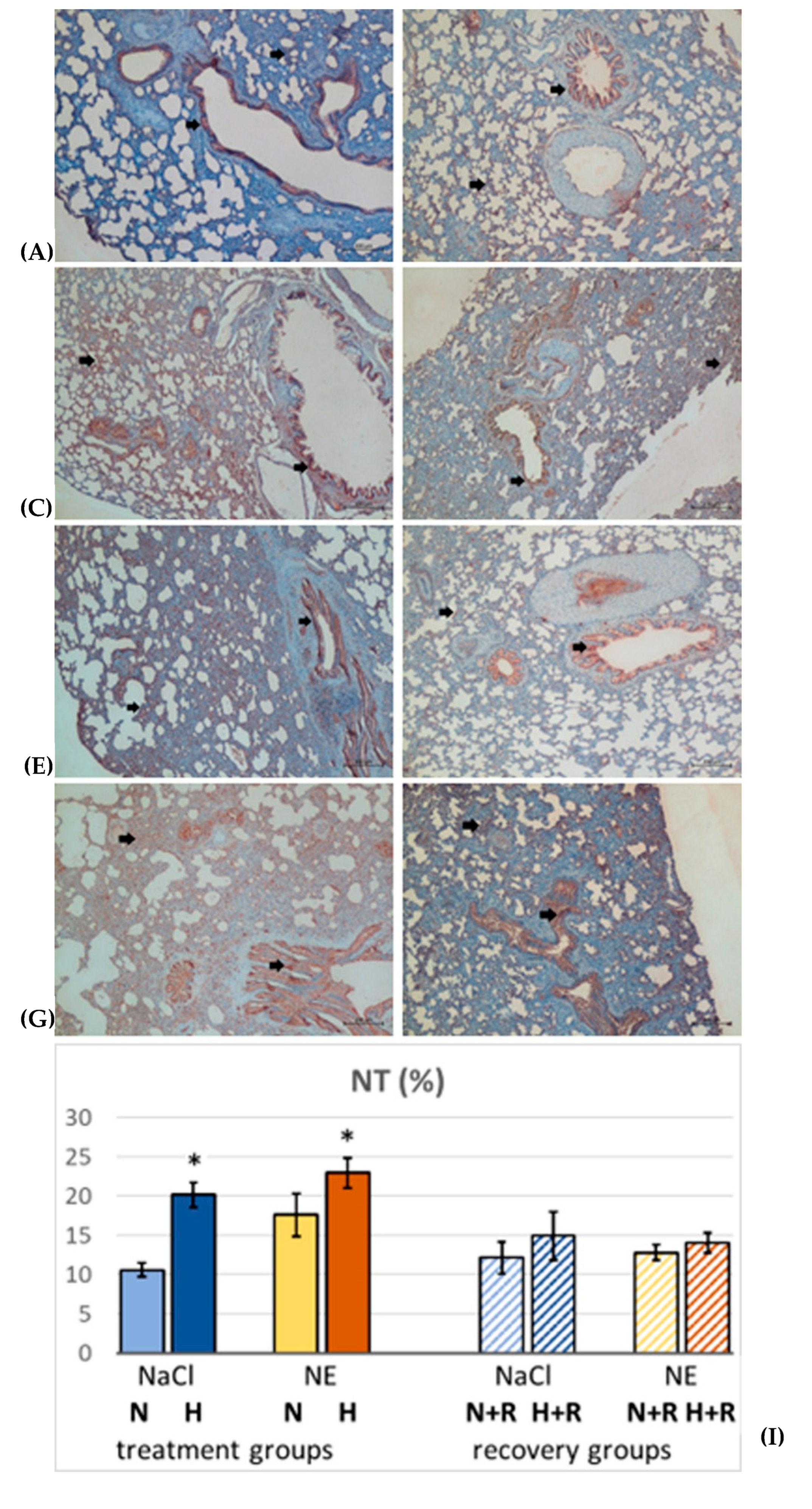 Preprints 179115 g004