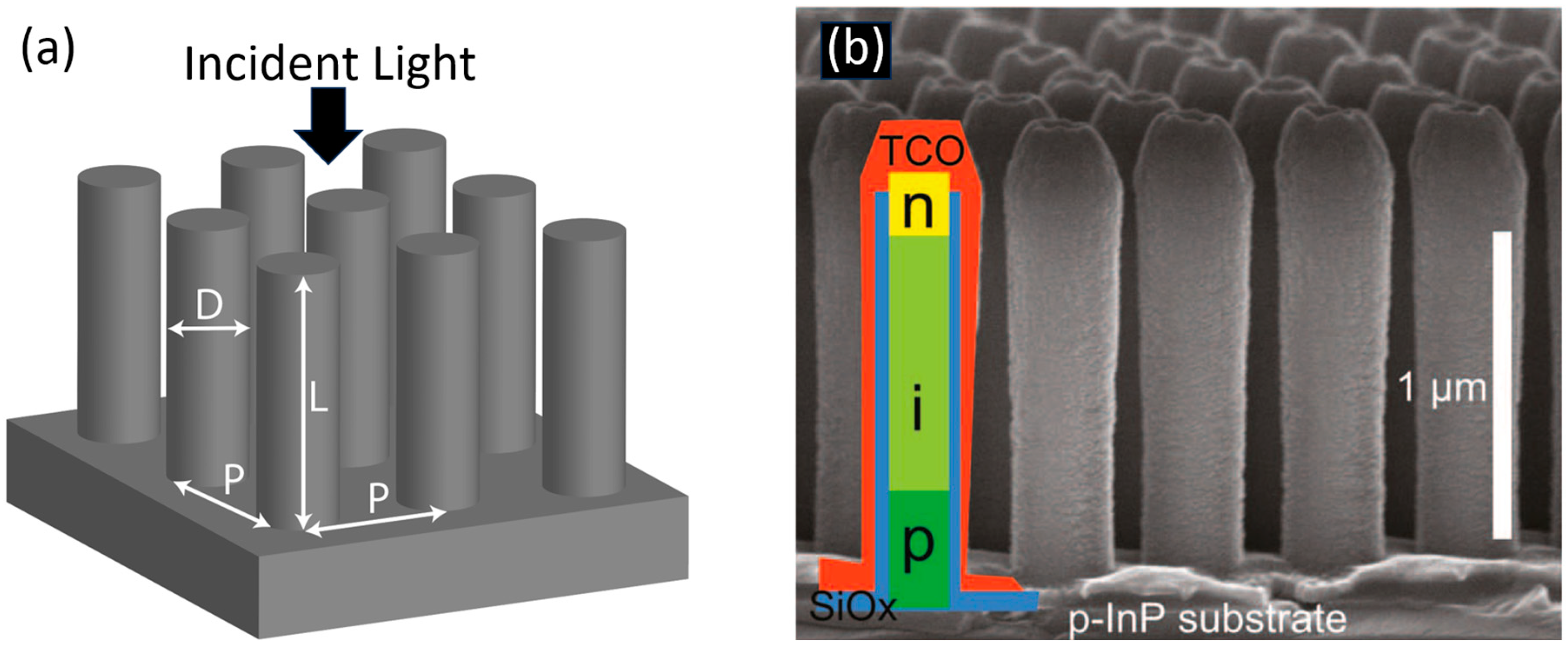 Preprints 81331 g001