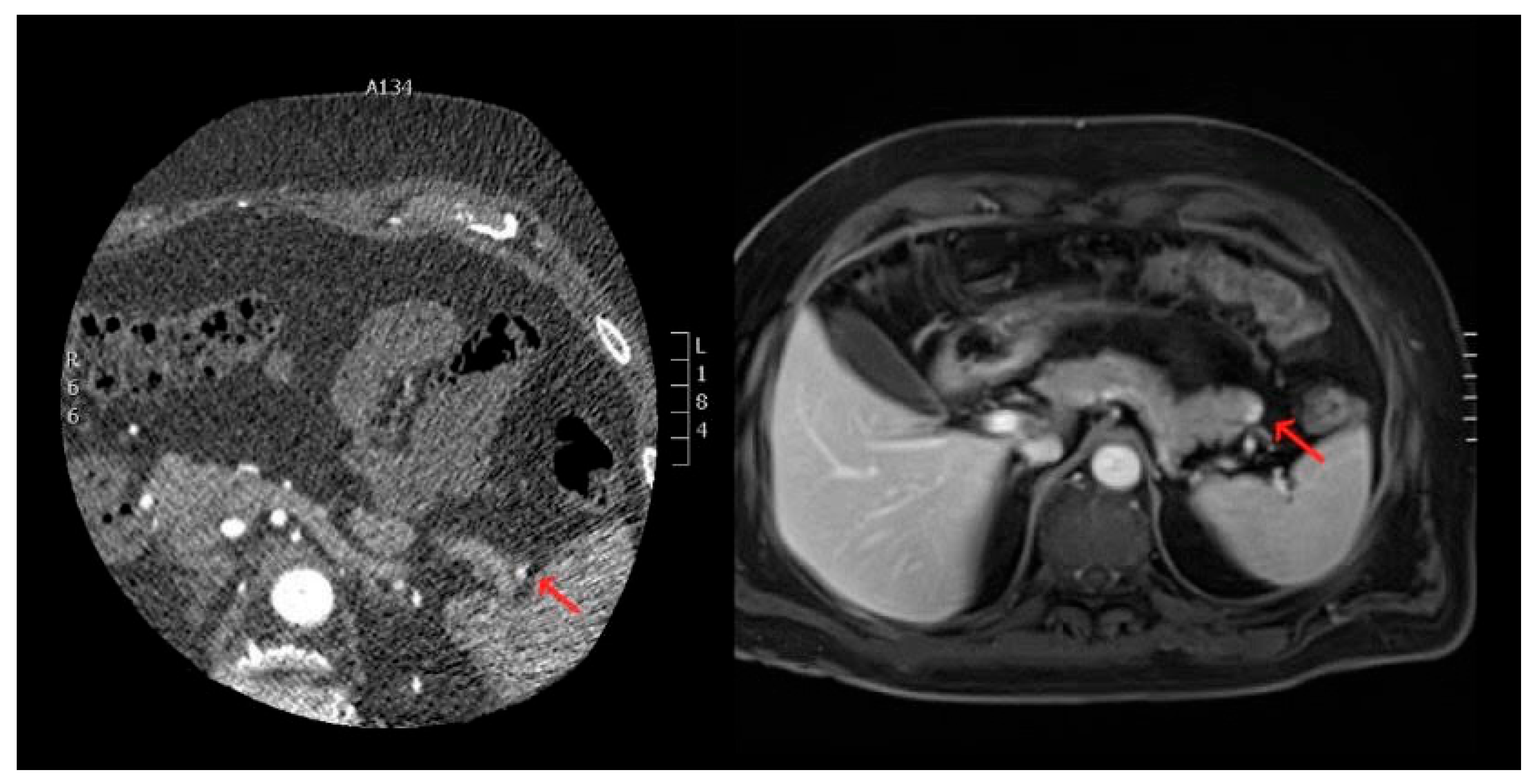 Preprints 143256 g001