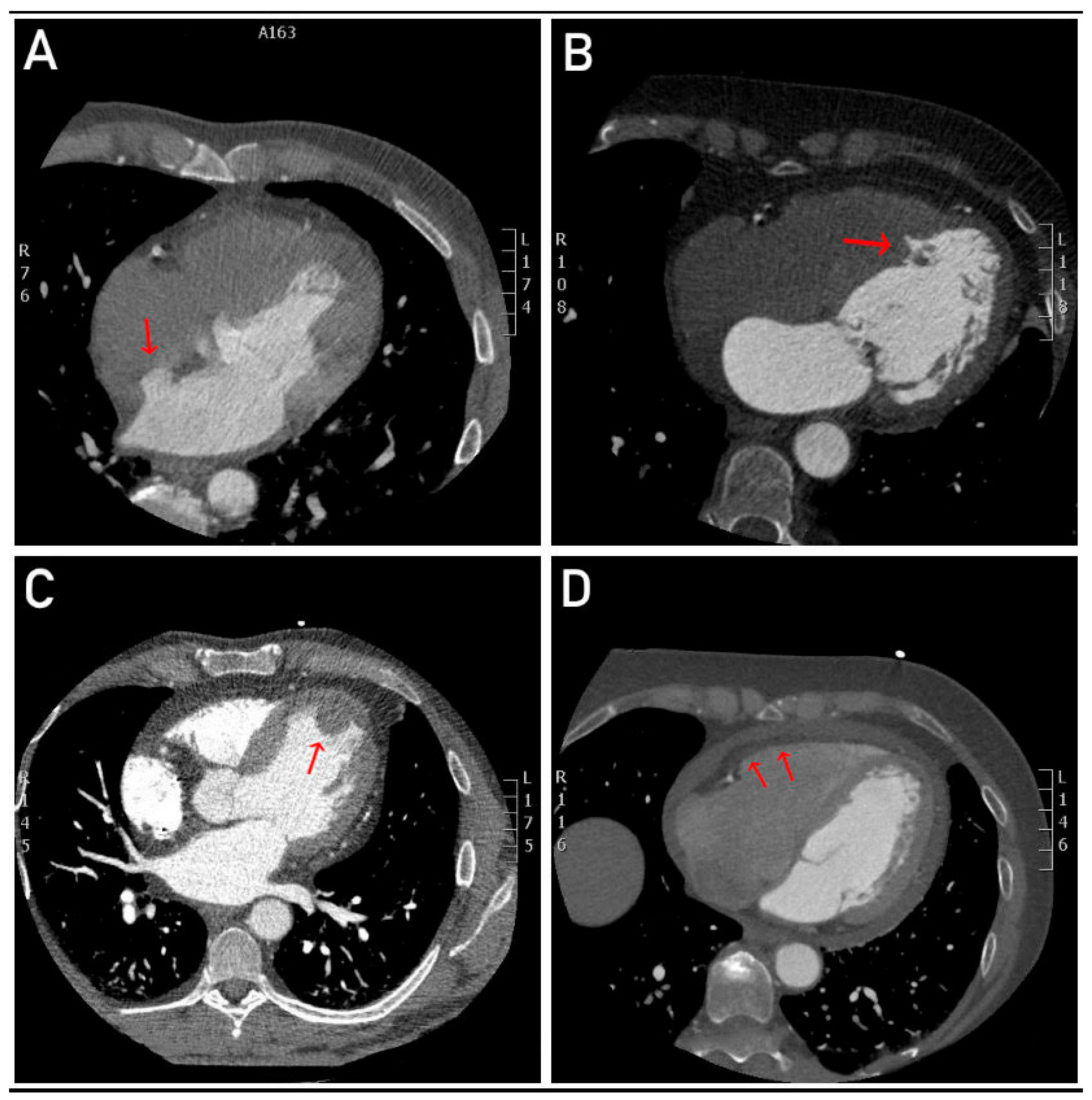 Preprints 143256 g003