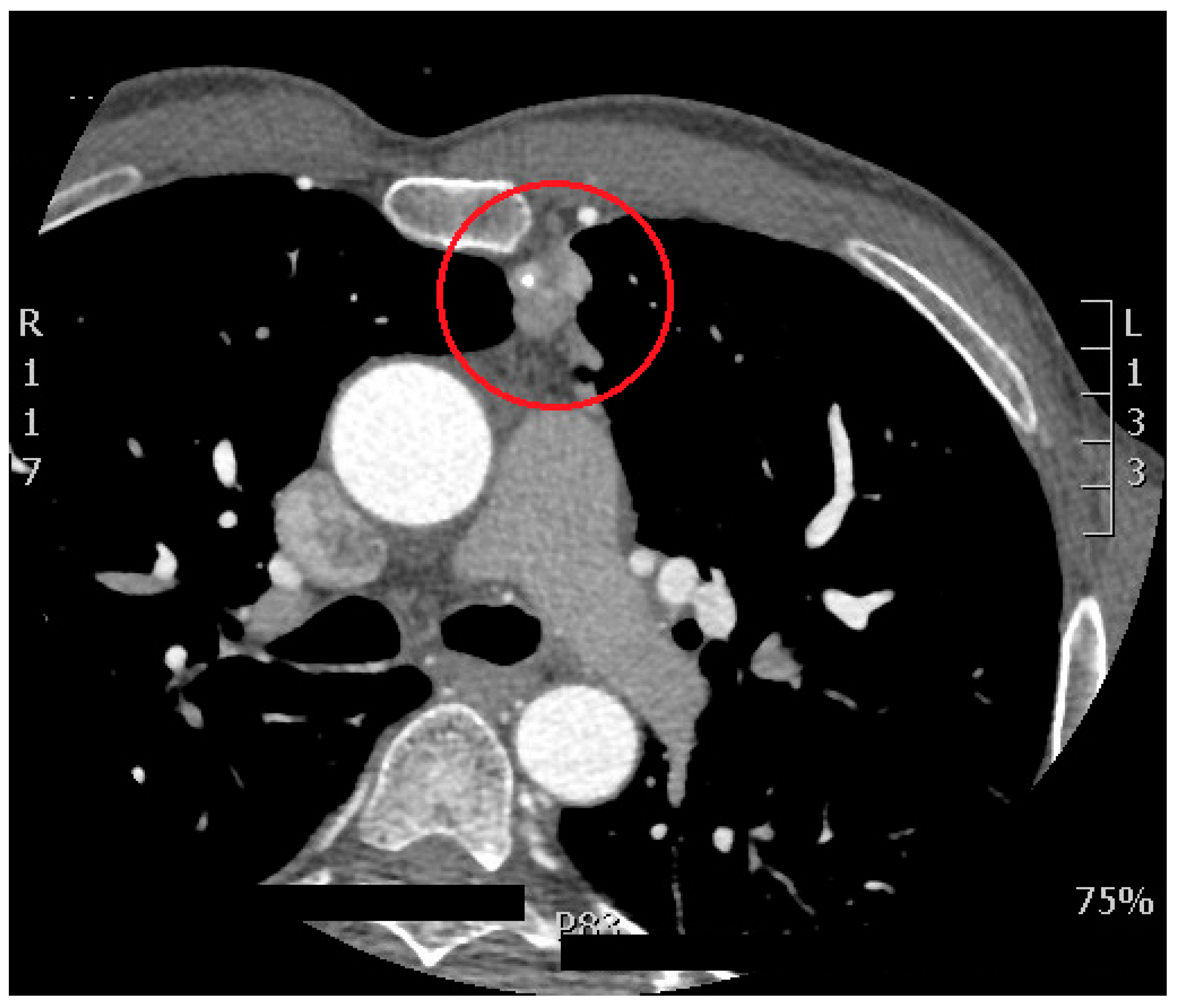 Preprints 143256 g004