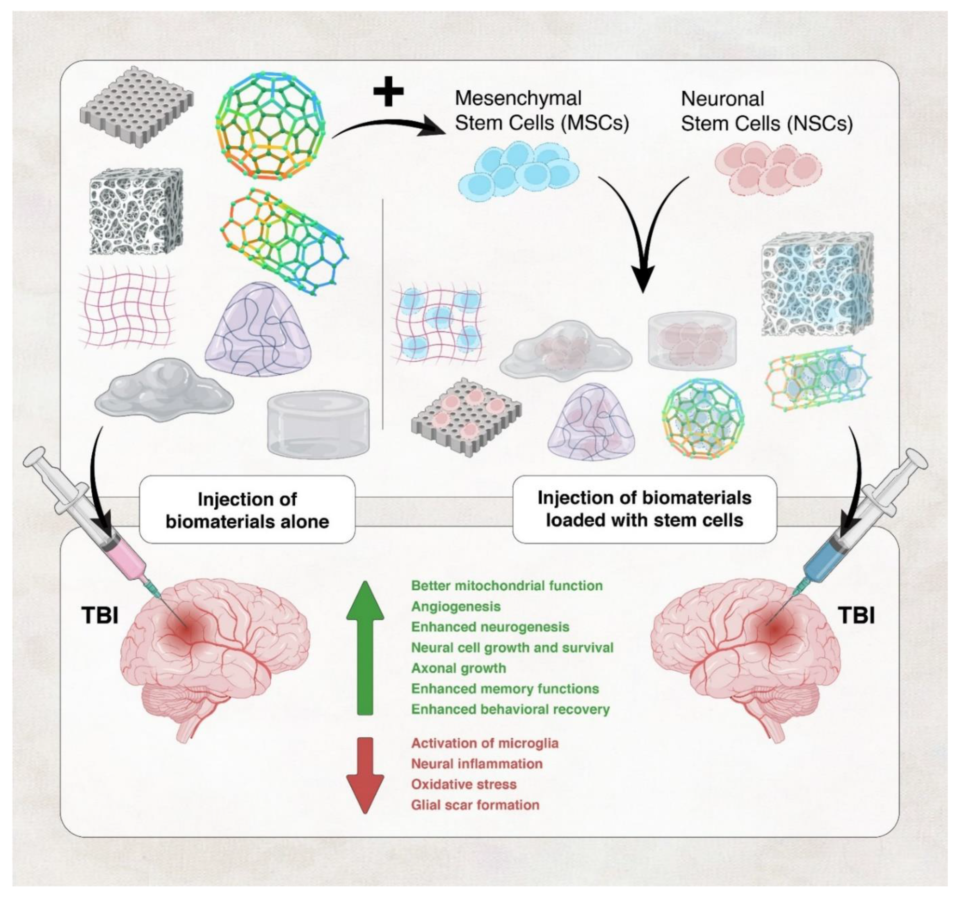 Preprints 84335 g001
