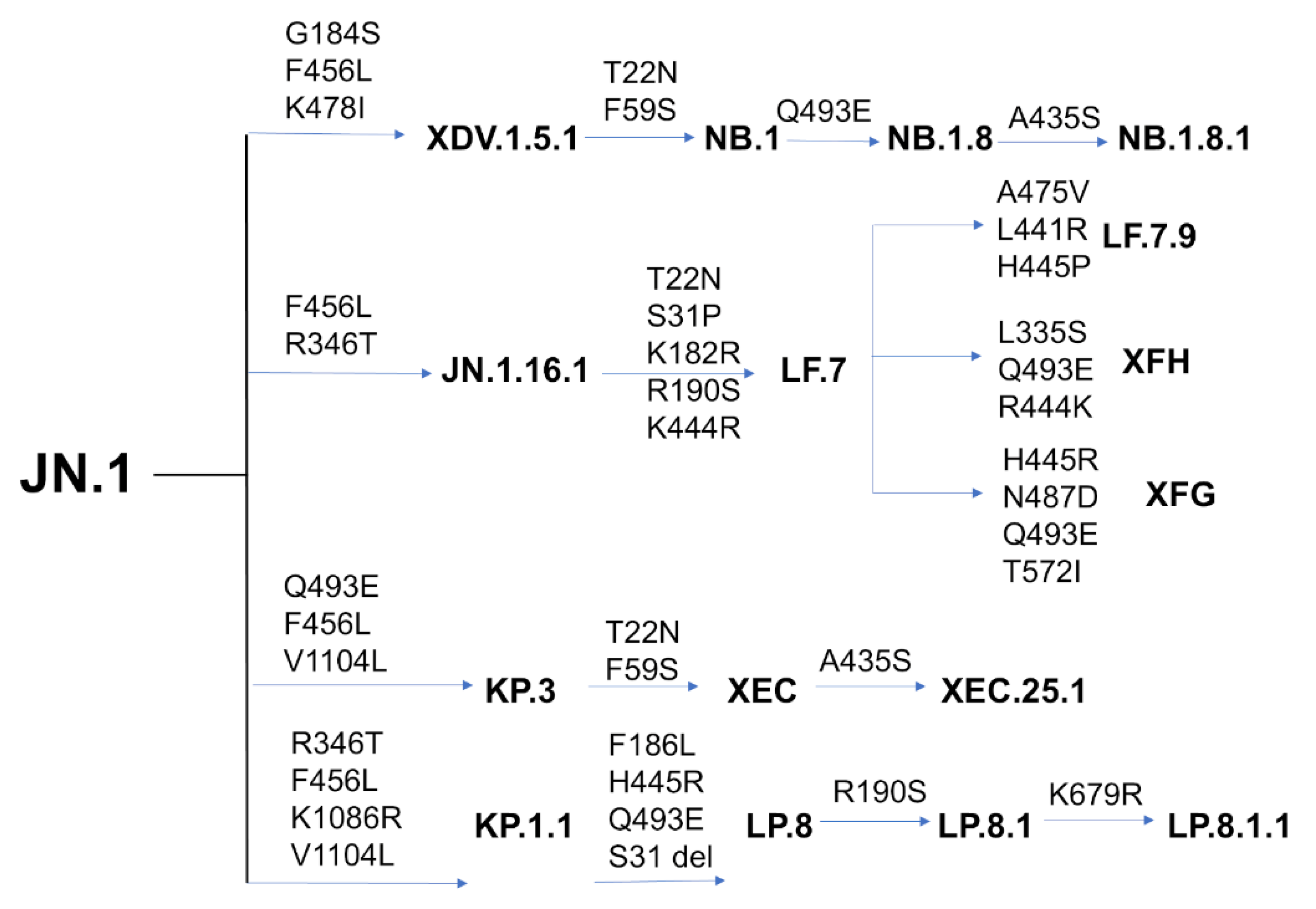 Preprints 162841 g001
