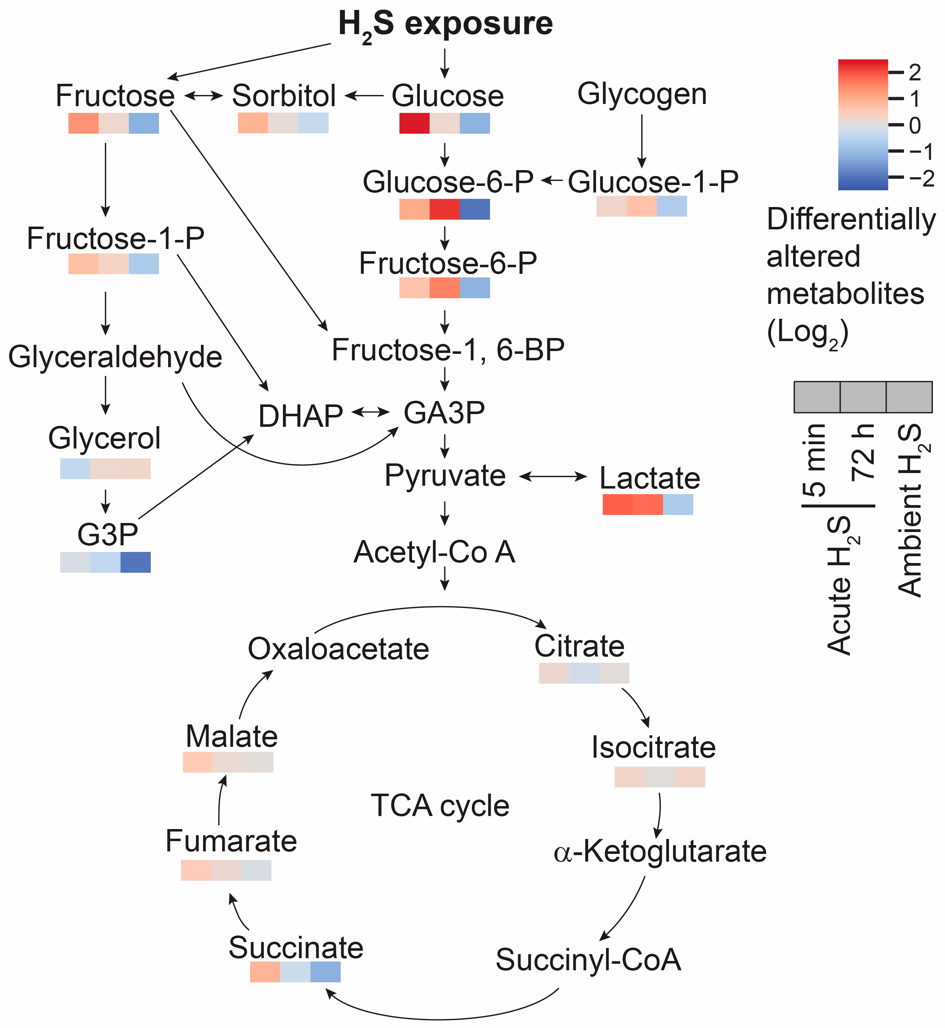 Preprints 94120 g012