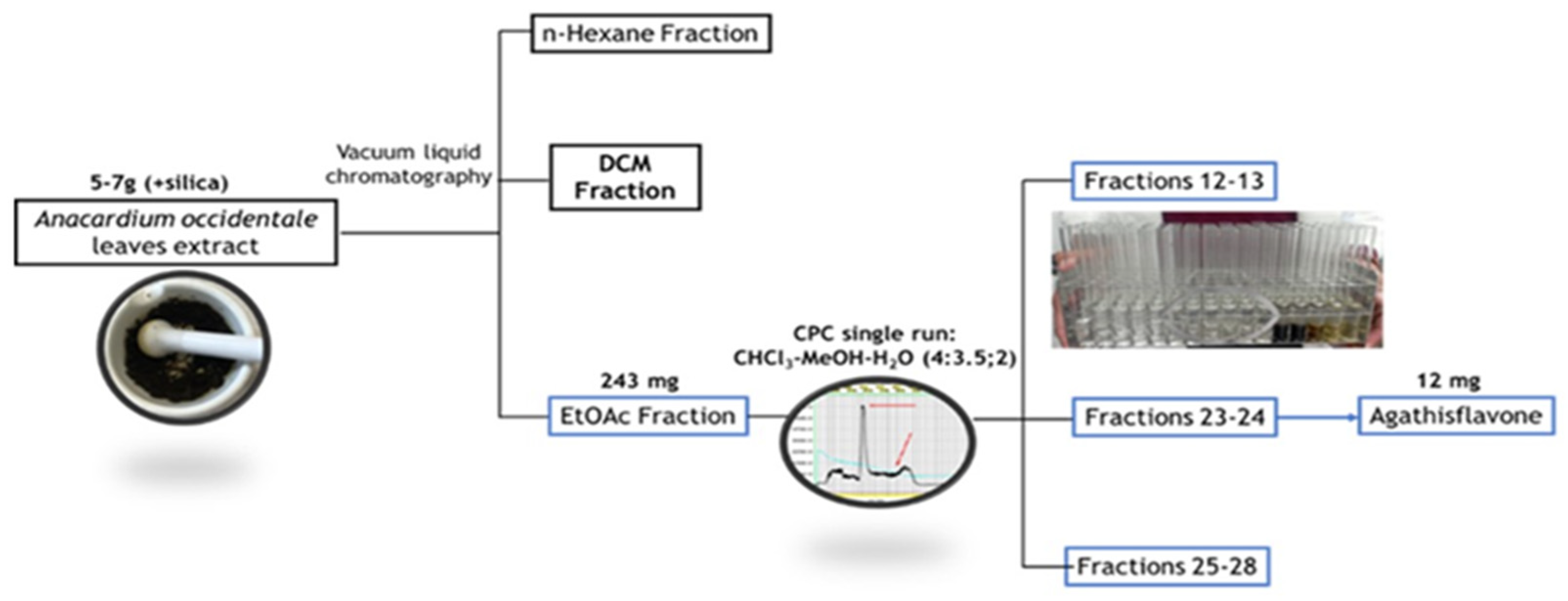 Preprints 158781 g001