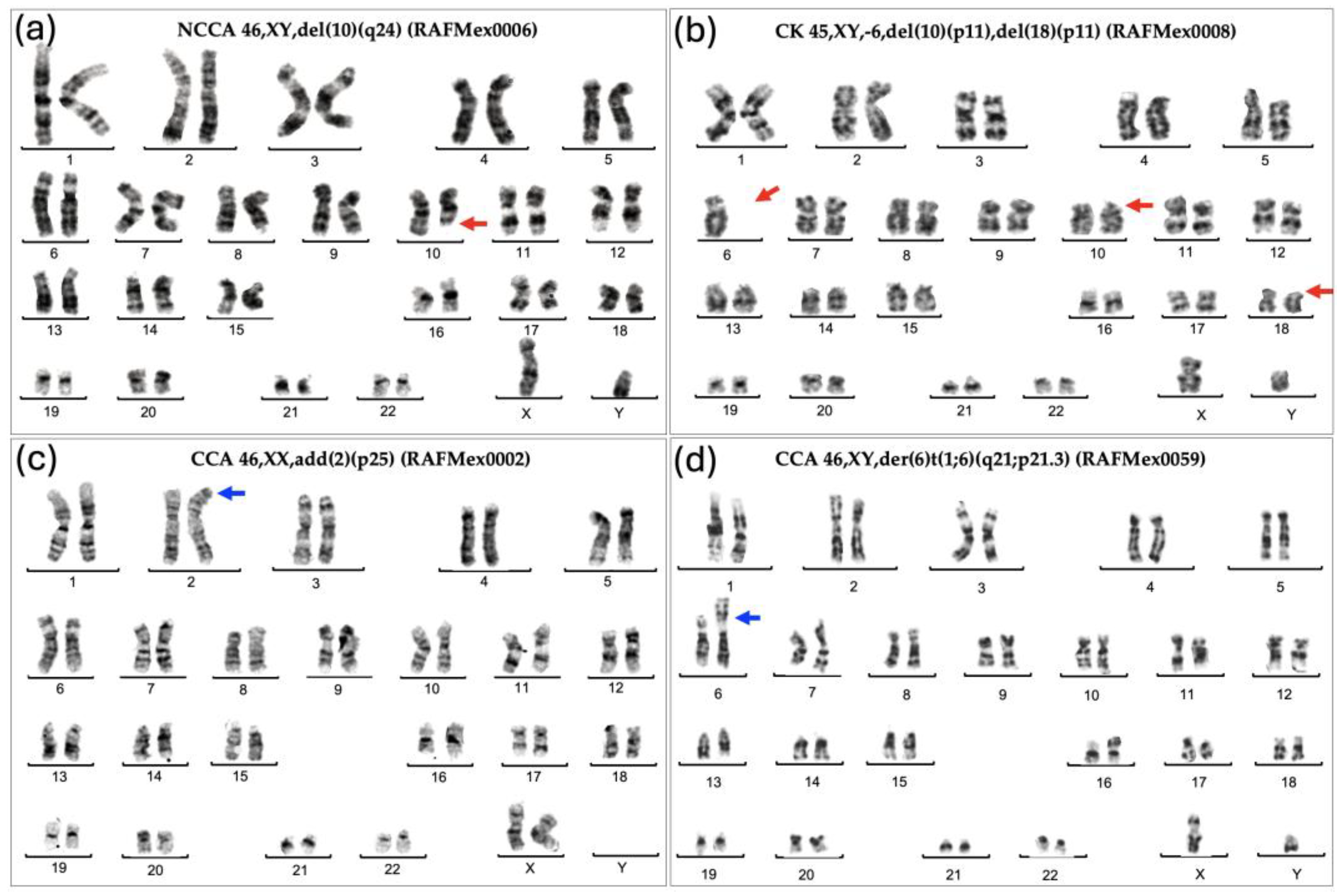 Preprints 152544 g001