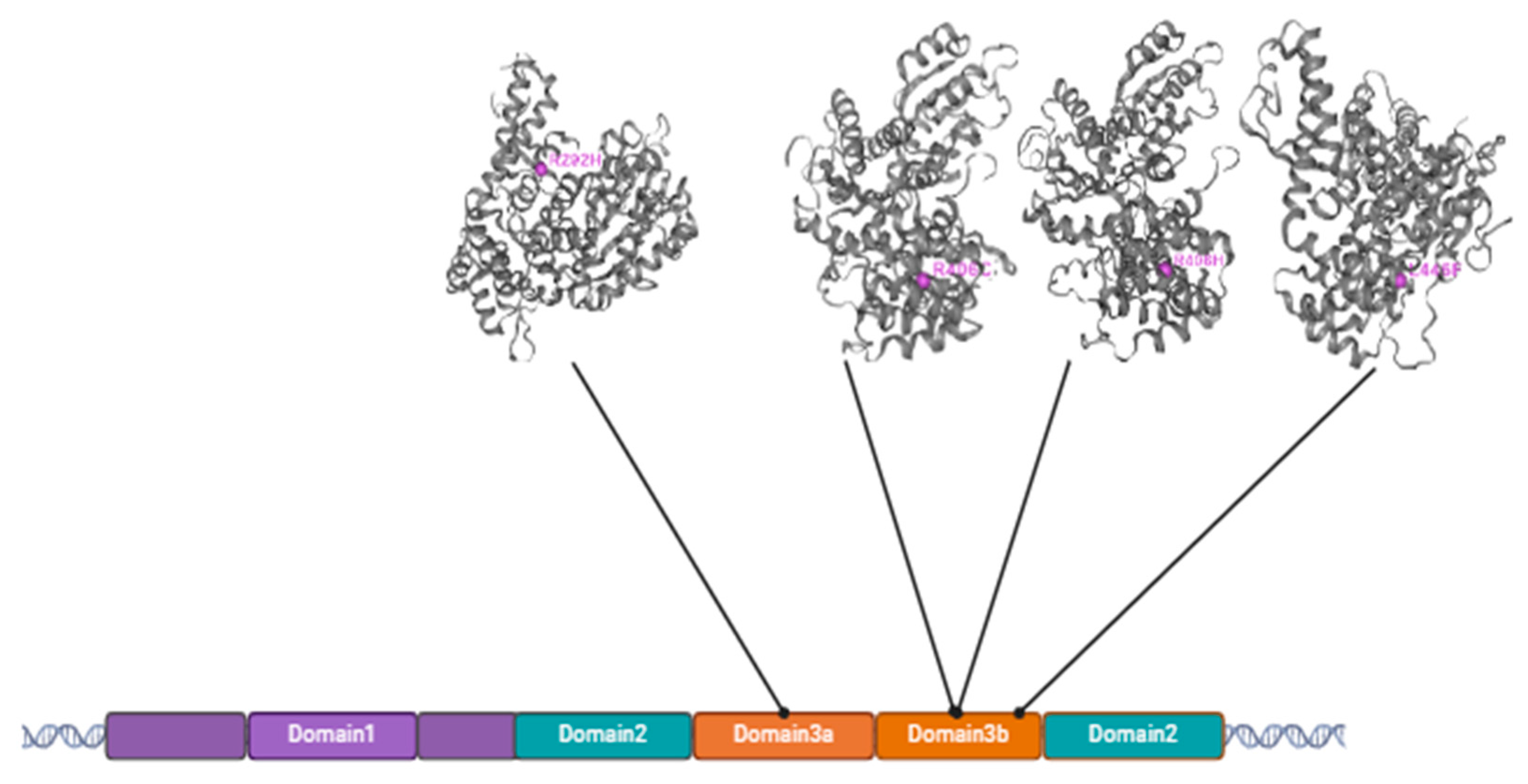 Preprints 143479 g001