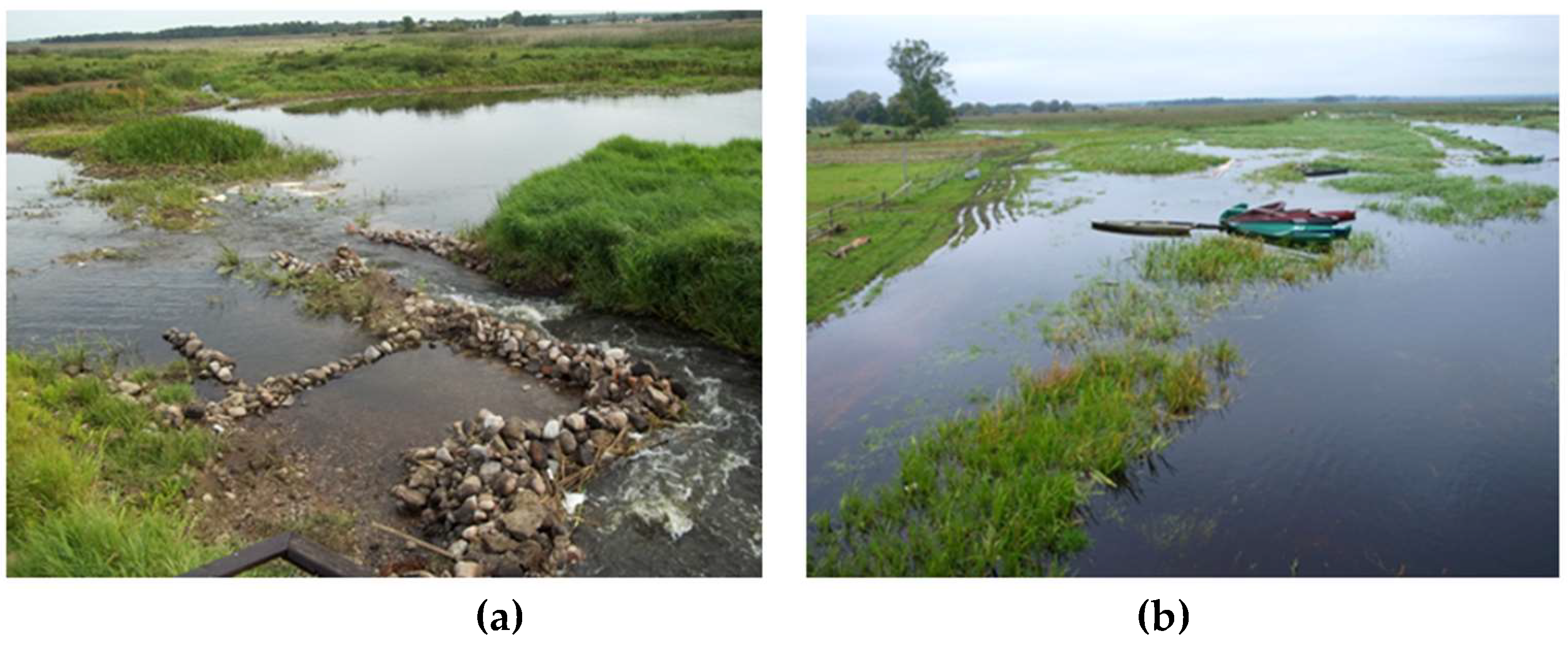 Preprints 120962 g002