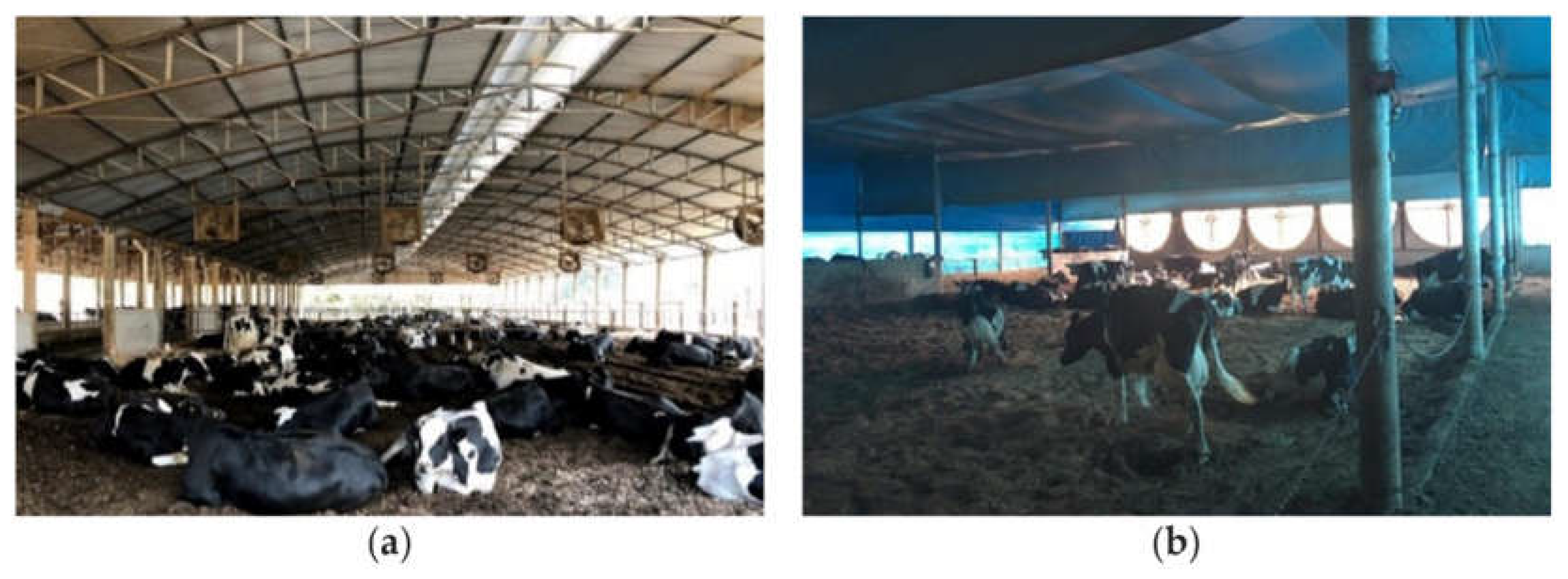 Preprints 104970 g001