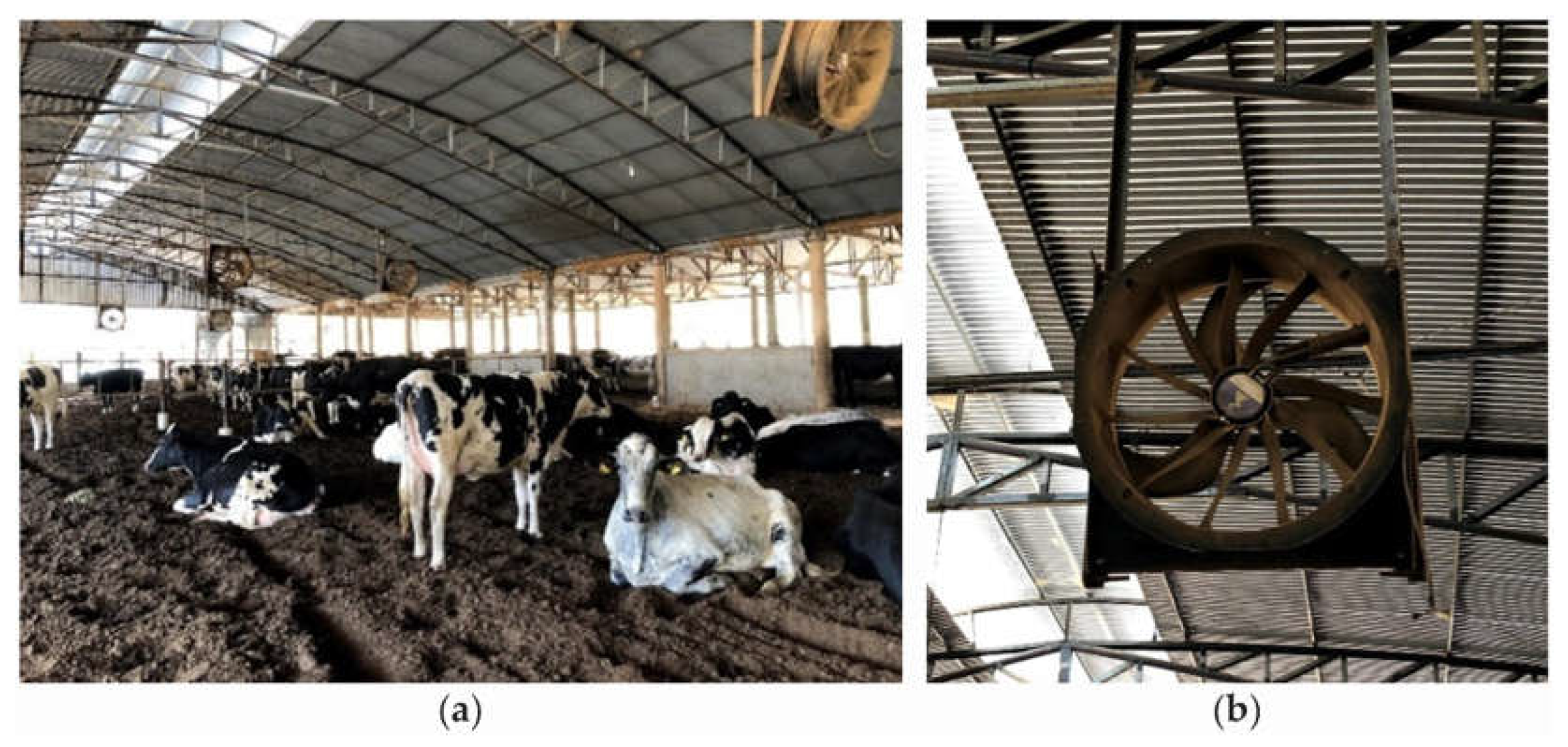 Preprints 104970 g003