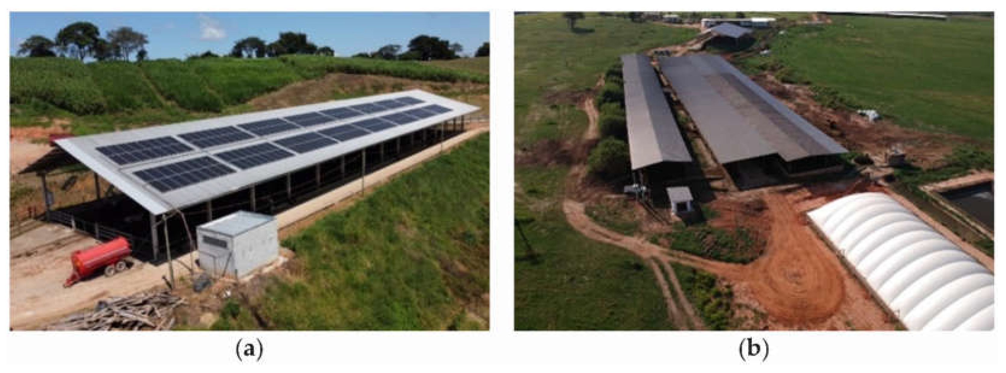 Preprints 104970 g004