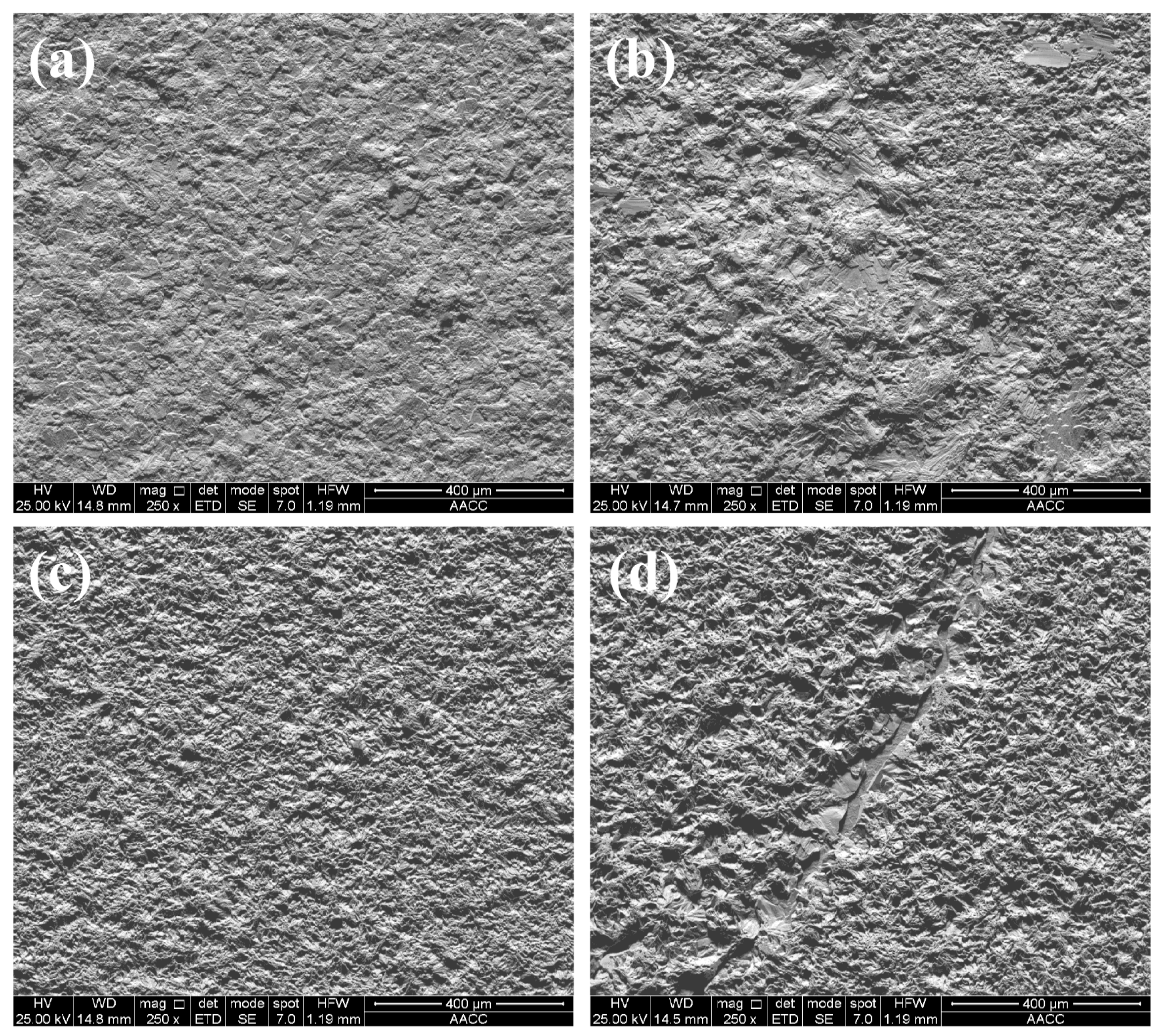 Preprints 96305 g004