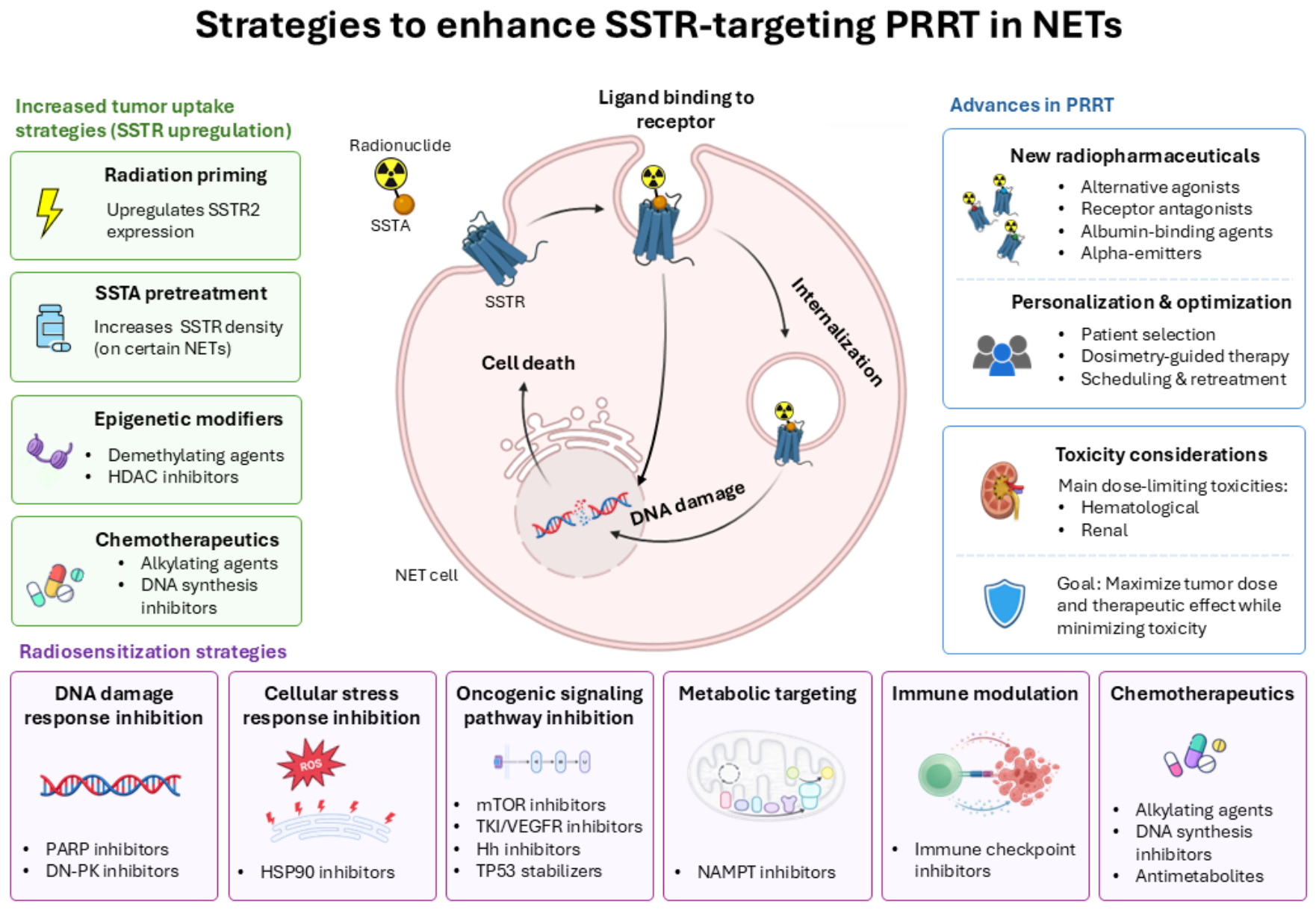 Preprints 227381 g001 Preprints 227381 g001