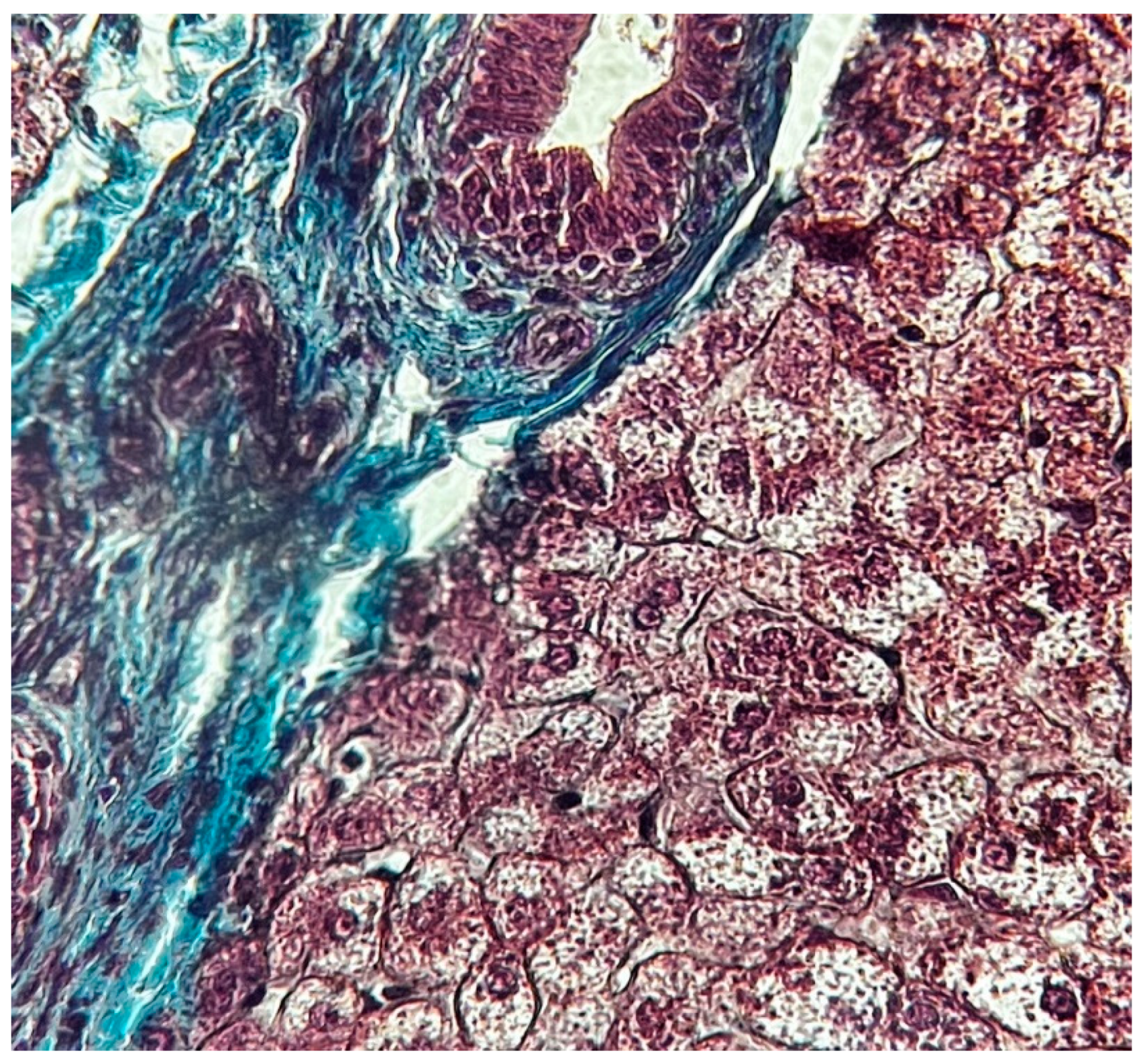 Preprints 80128 g001