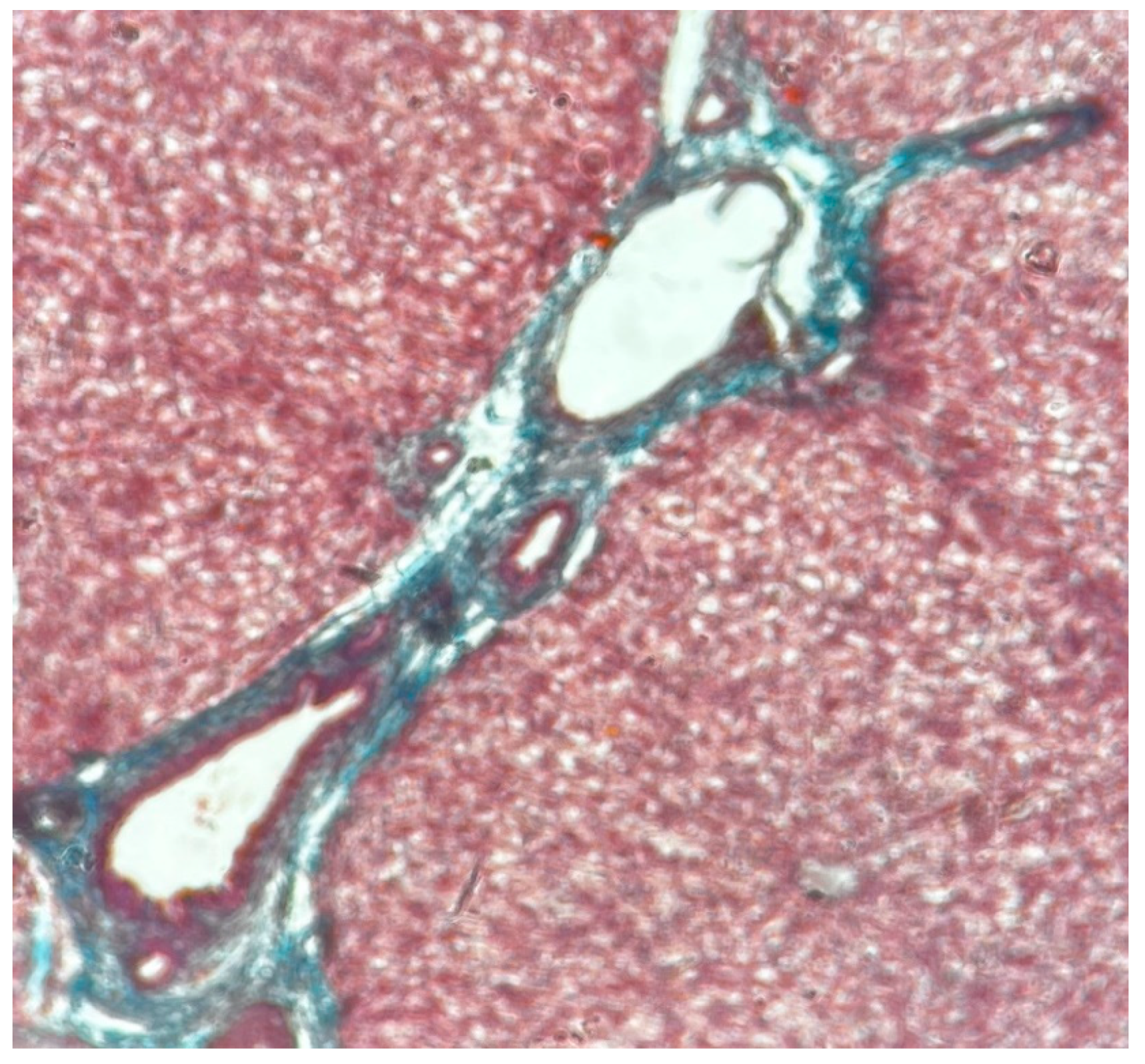 Preprints 80128 g002