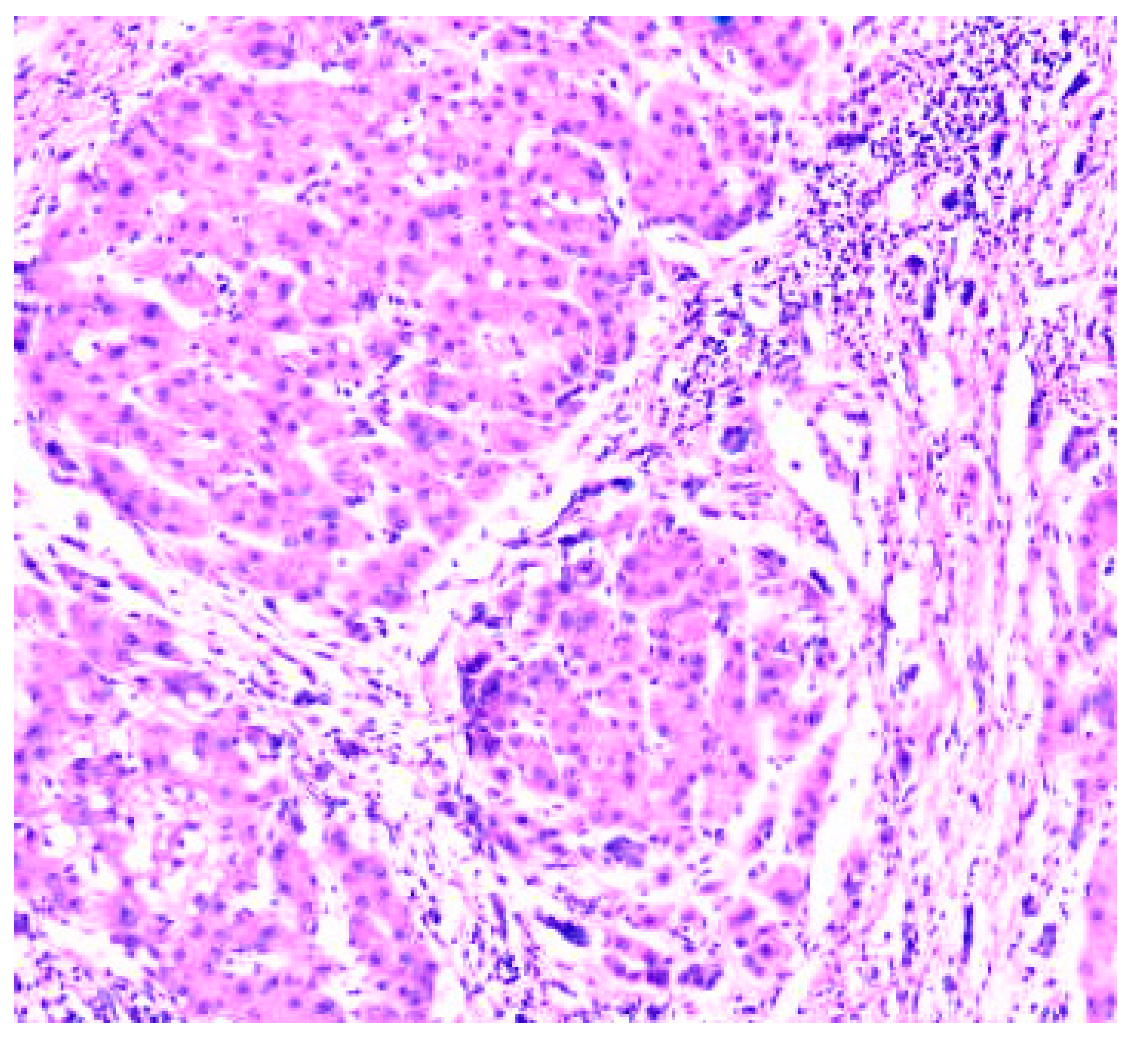 Preprints 80128 g003