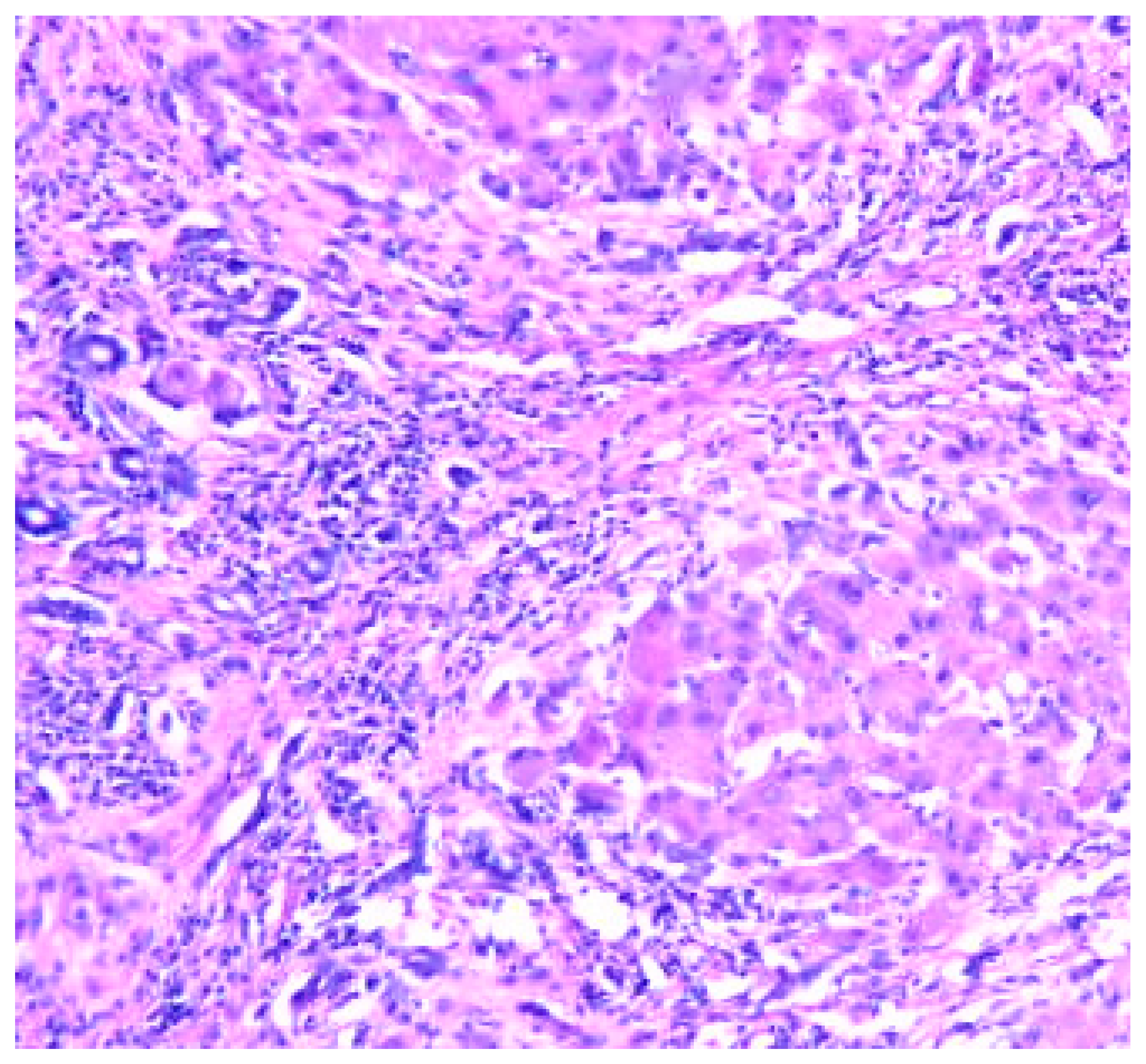 Preprints 80128 g005