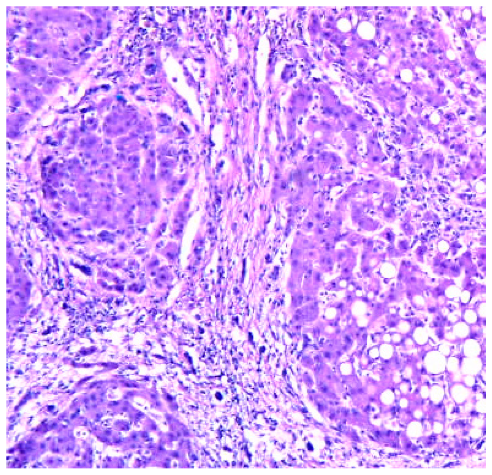 Preprints 80128 g006