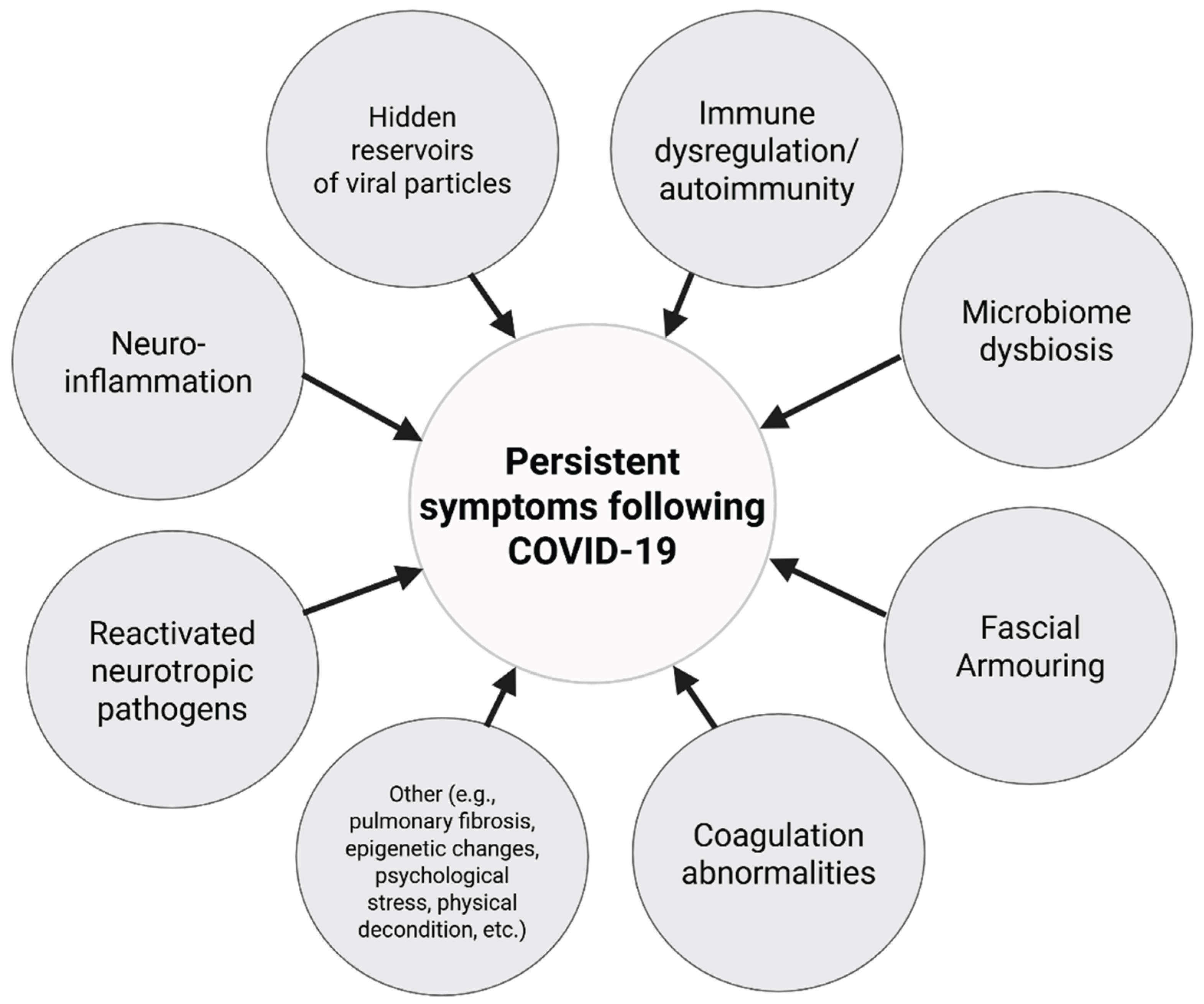 Preprints 182158 g006